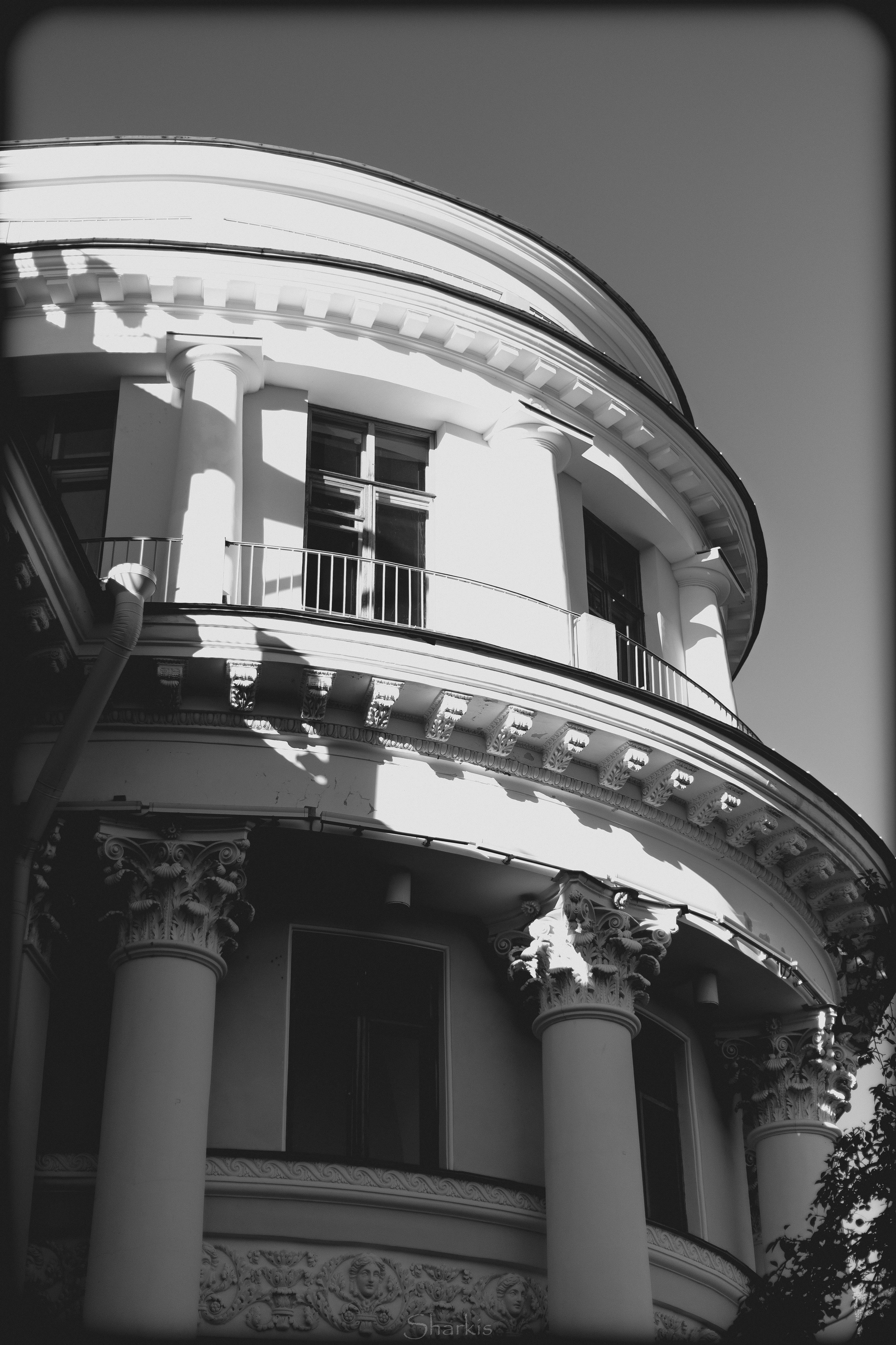 Света. Главная