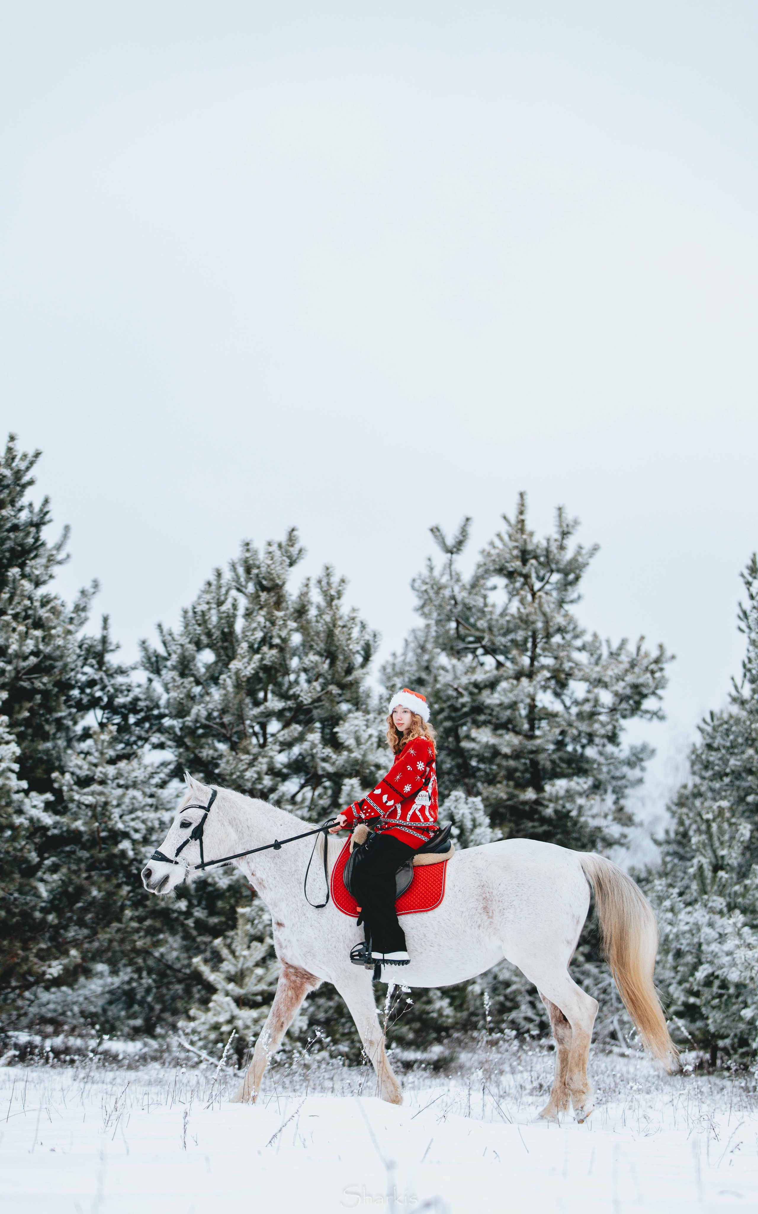 Фото день в ЧК «Орлёнок» — Новый год. Главная