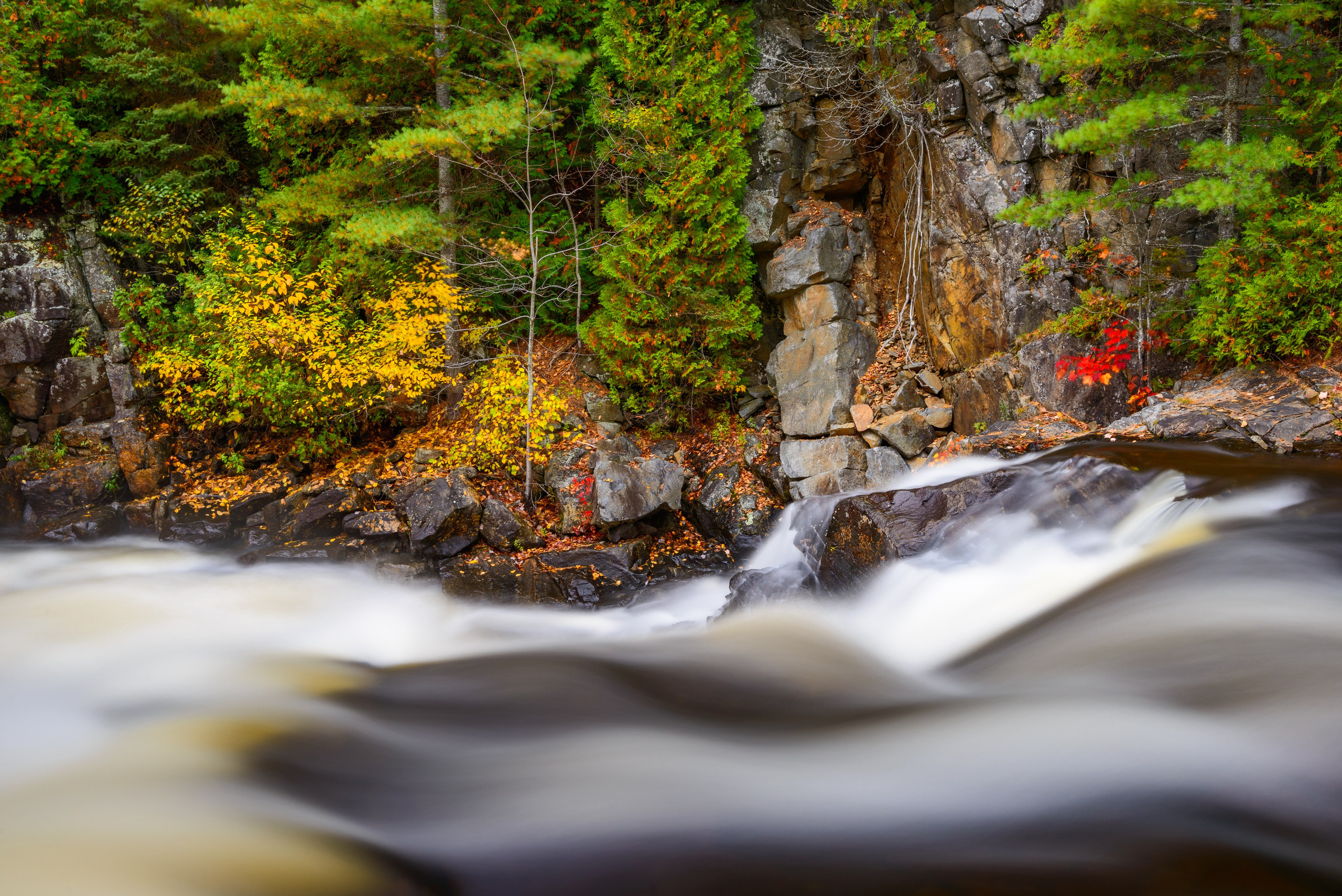 Осень в Канаде. Пейзажный фотограф Сергей Пестерев. Фото природы