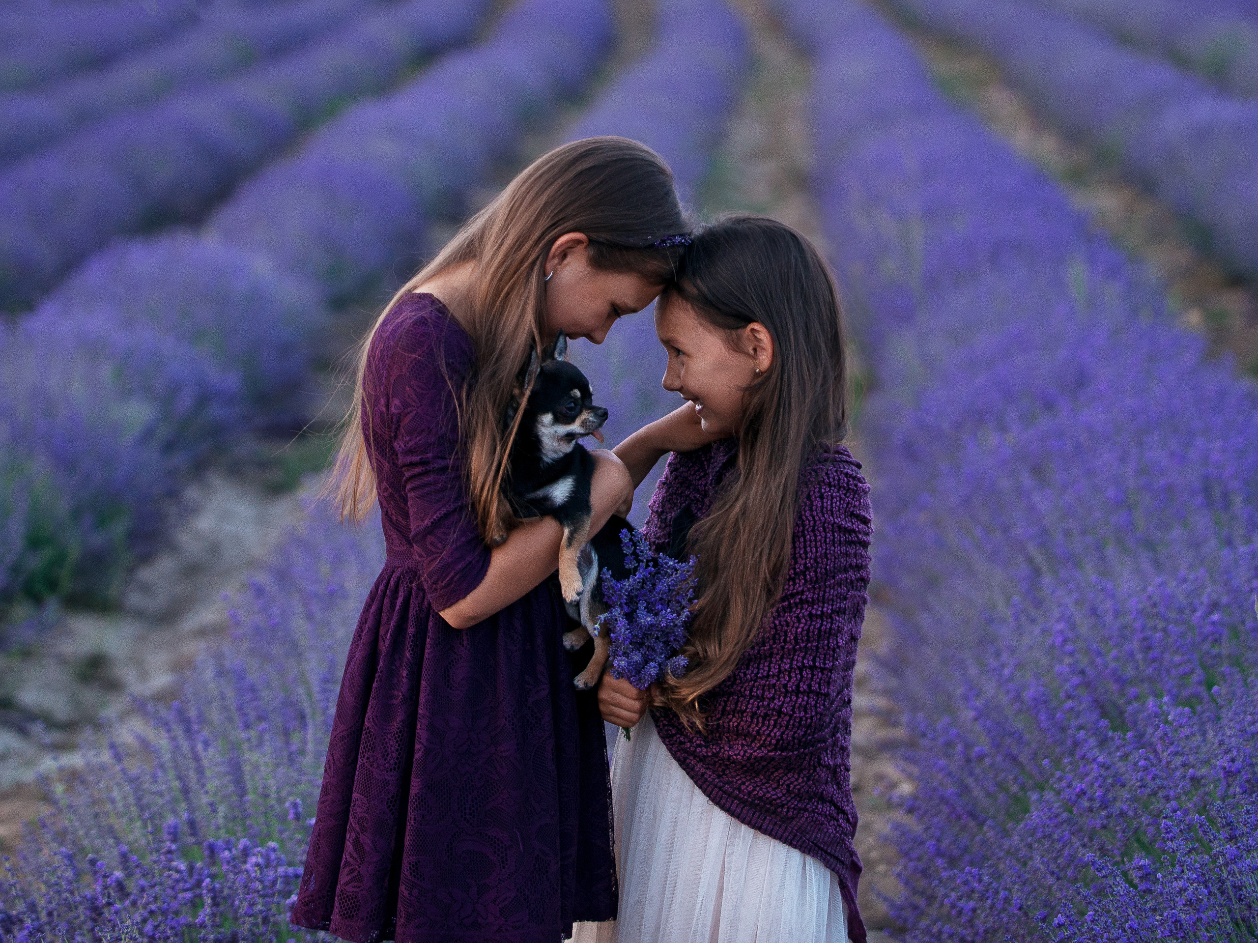 Фотосессия в цветущей лаванде в Крыму. Фотограф в Севастополе Погребняк Александра. Уточнить, зарезервировать дату для фотосъемки +79788481042