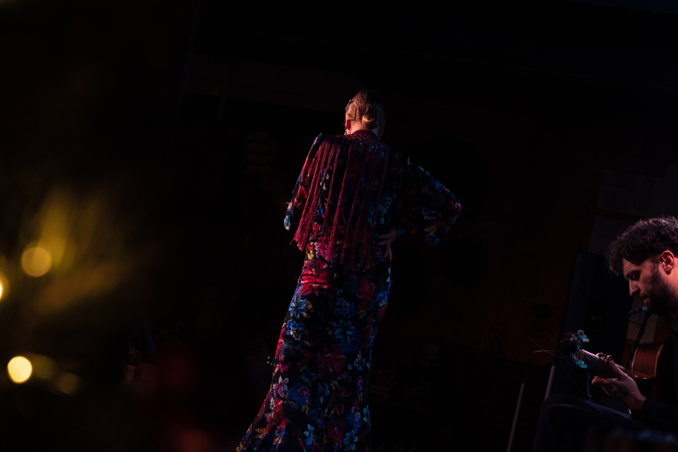 Flamenco 02.01.2025. Индивидуальные съемки, портретный фотограф