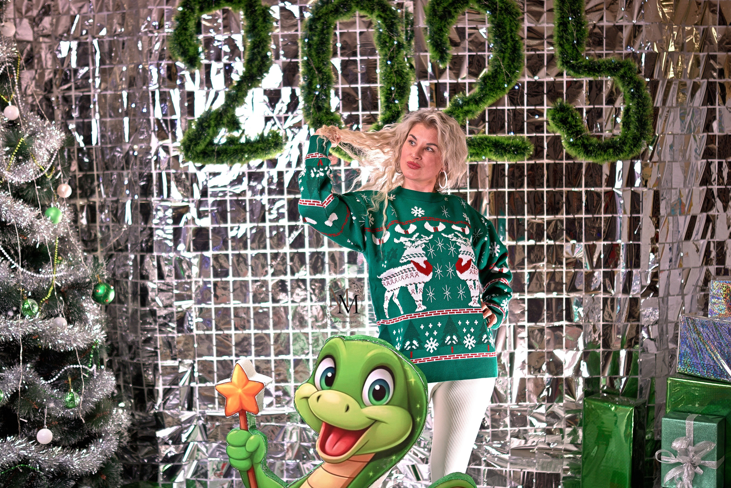 Новогодние фотосессии. Фотограф Дмитрий Кищенко. Фотосъемки в Сызрани. Фотосъемки в Тольятти. Фотосъемки в Самаре. Арт-студия "Мастер и Маргарита".