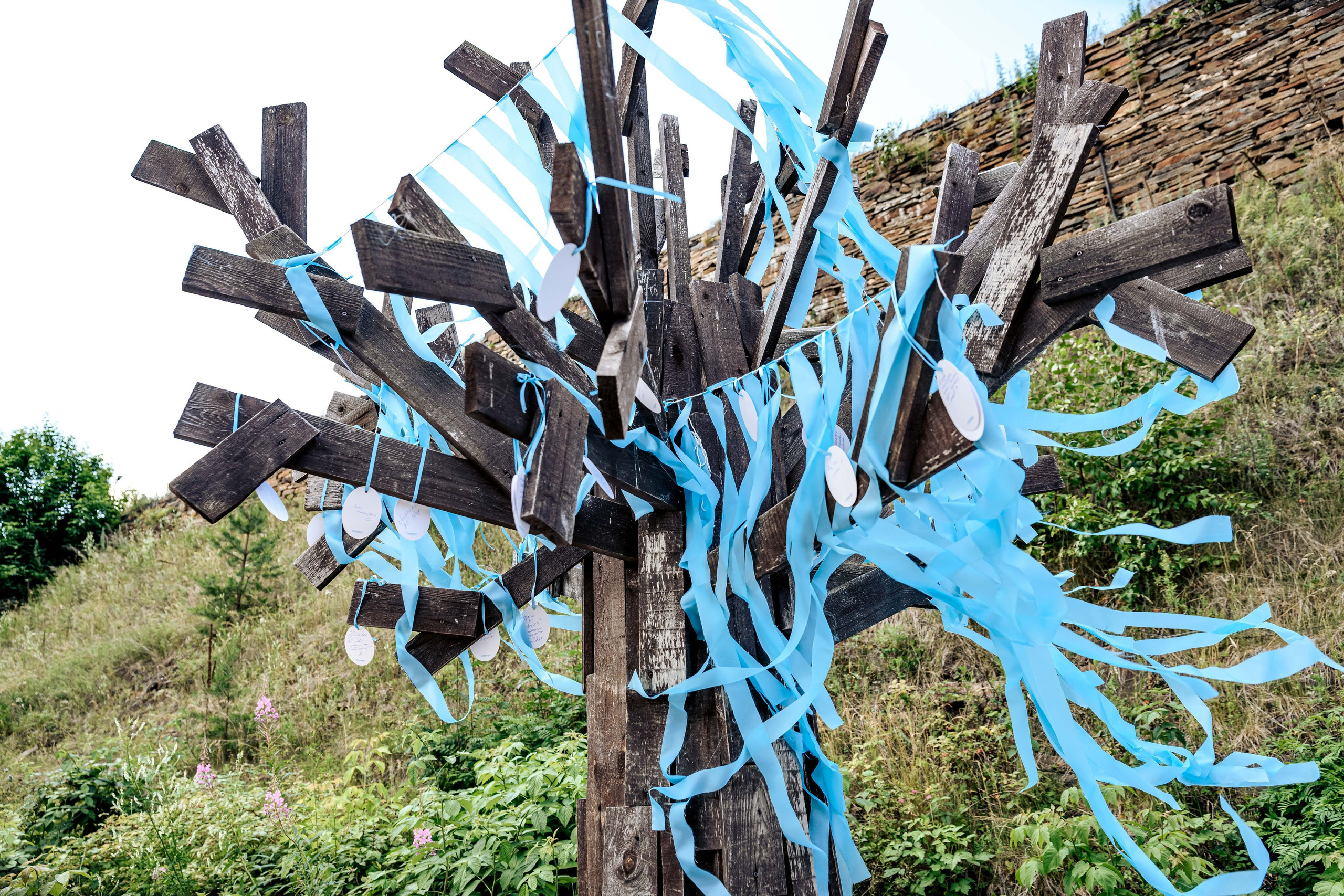 СЕВЕР. Максим Комаров — Профессиональный фотограф