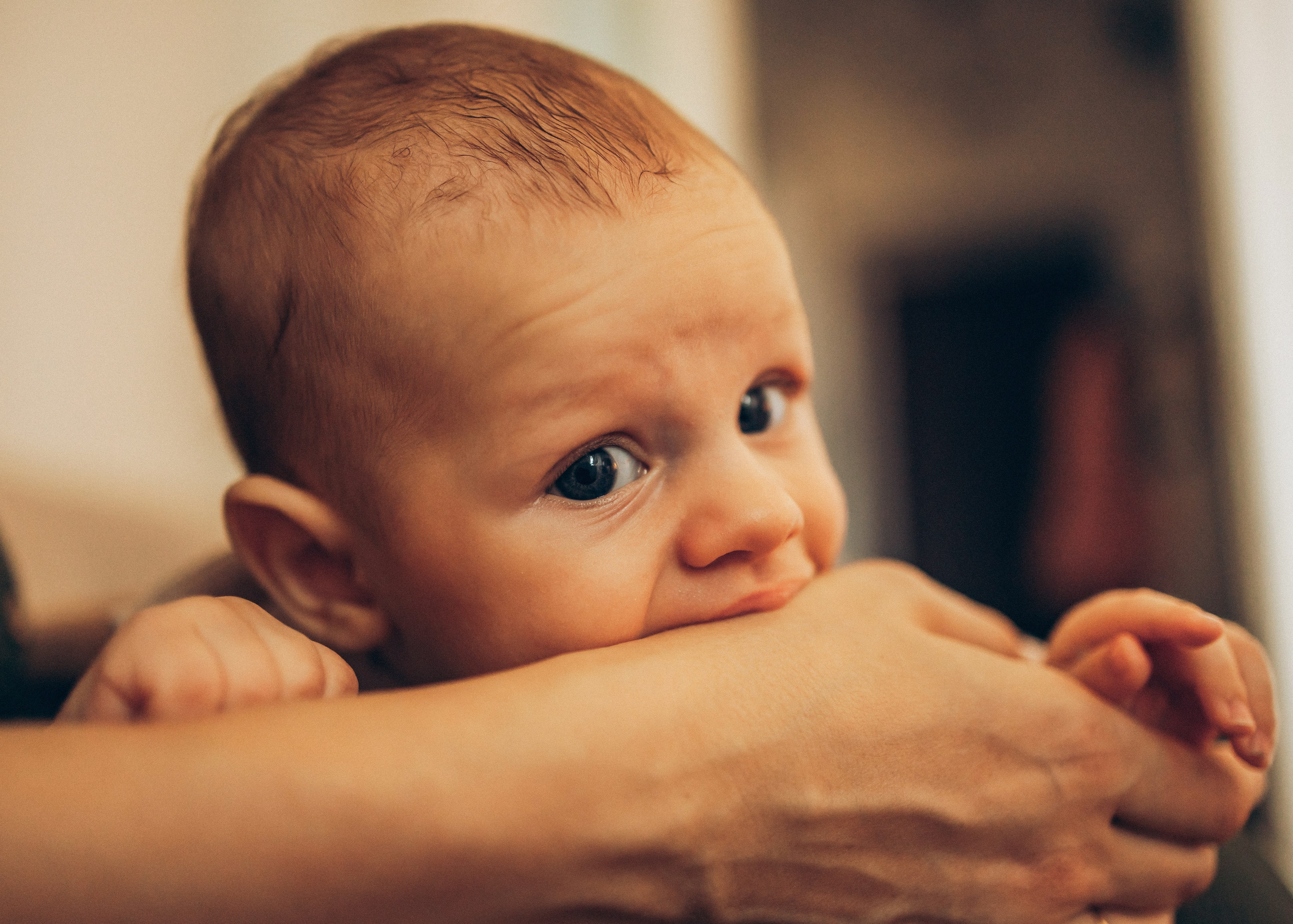 Оля, Леша, Дима, Рома. Семейный фотограф В Москве Александра Дейкун