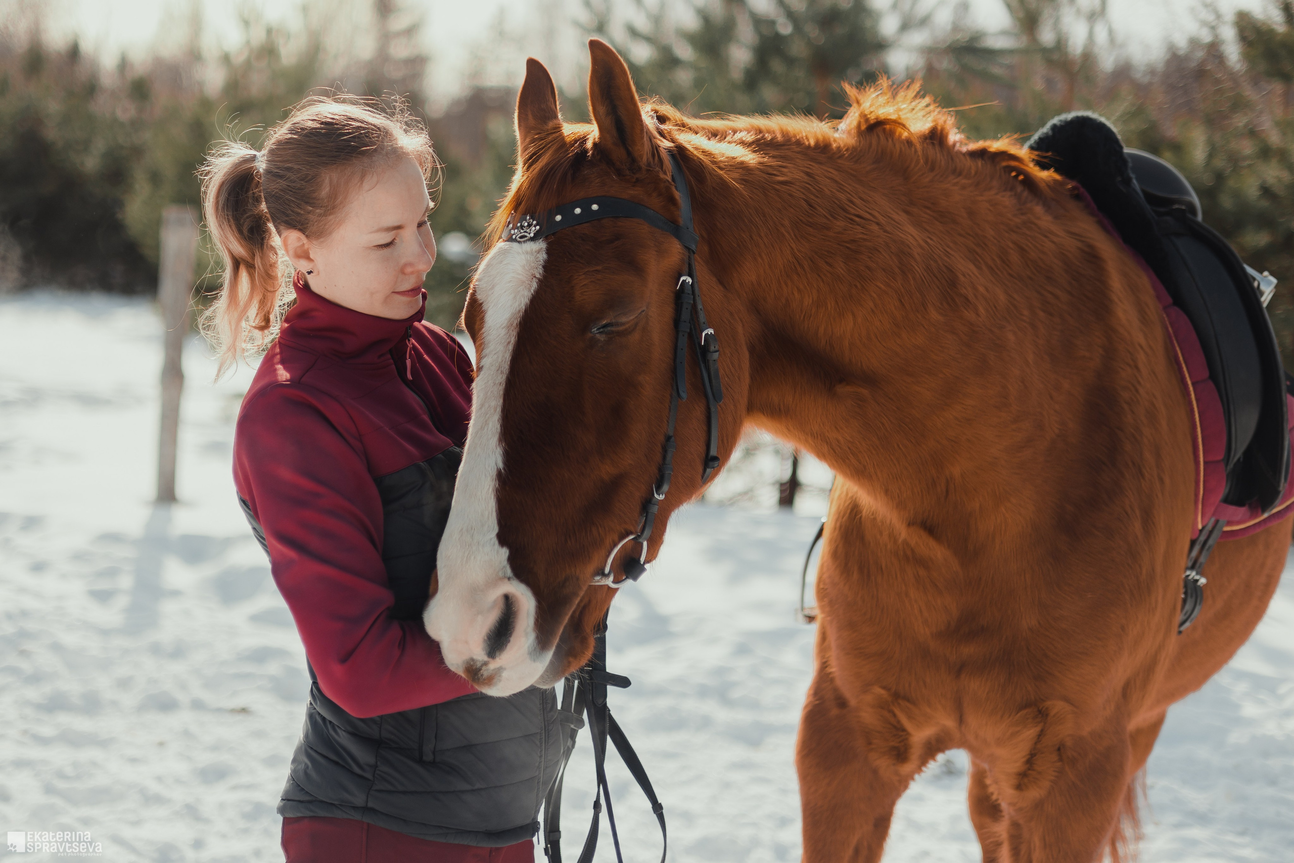 Среди грив и копыт. Фотограф Анималист Екатерина Справцева в Нижнем Новгороде