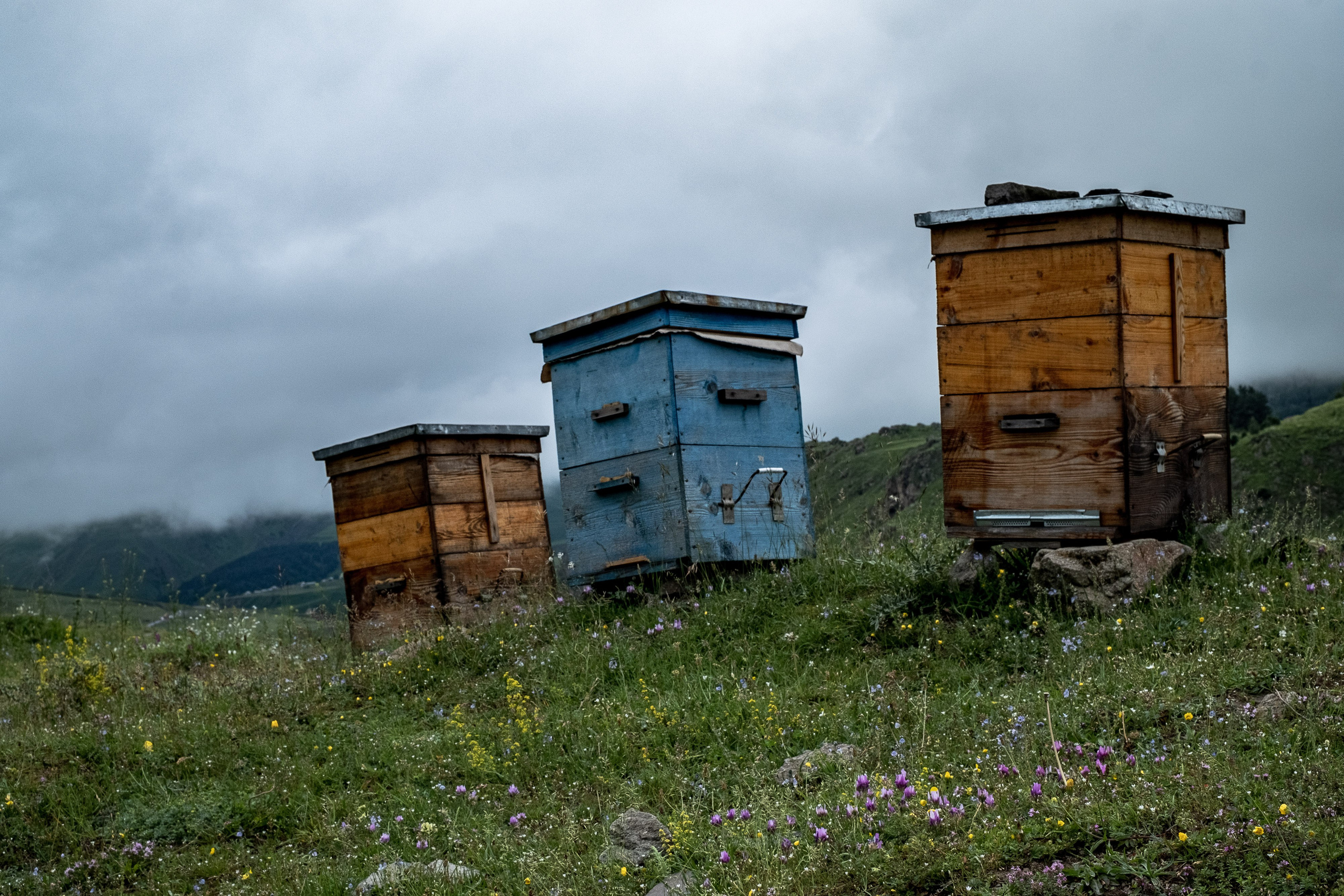 Горная Грузия