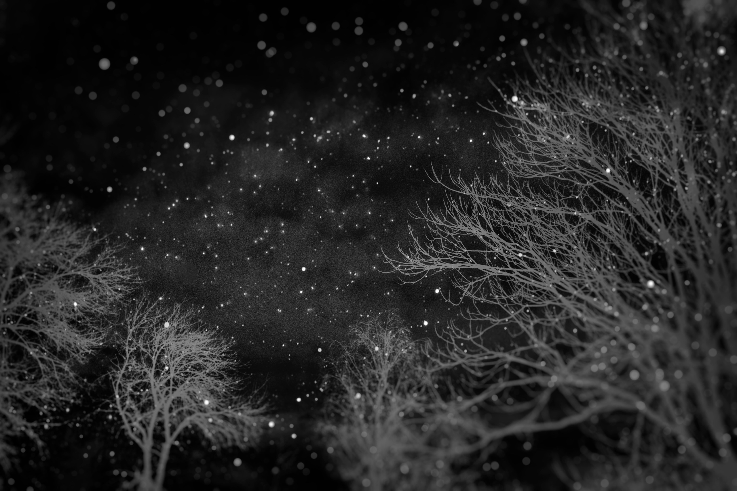 Homeland Adygea. Visual artist