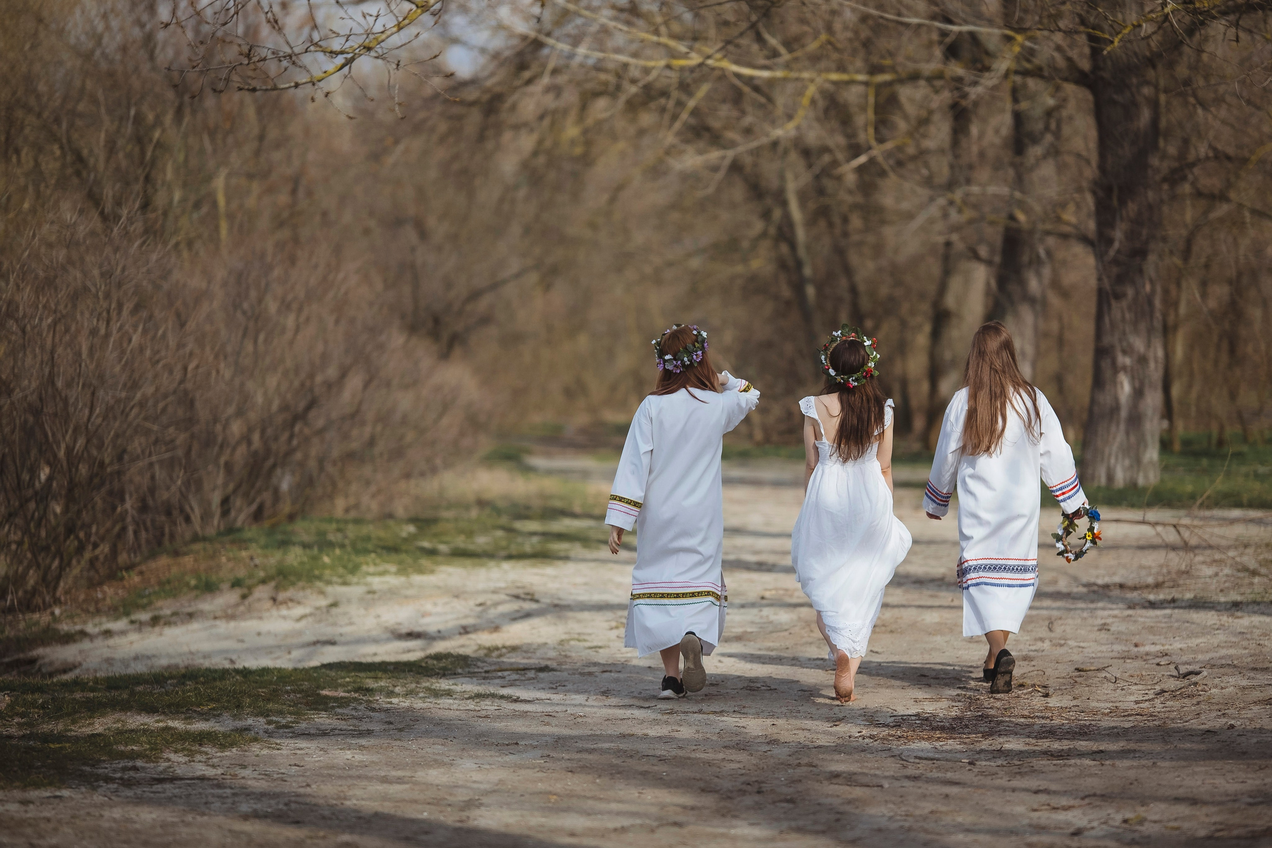 Зеленый остров. Главная