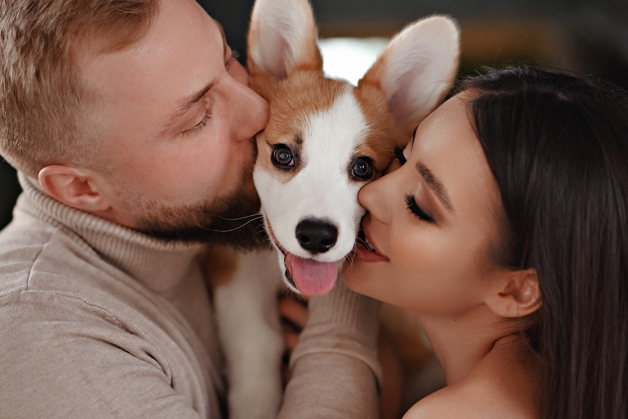 Иришка, Денис и Цедрик. Свадебный и семейный фотограф в Самаре Головань Наталья