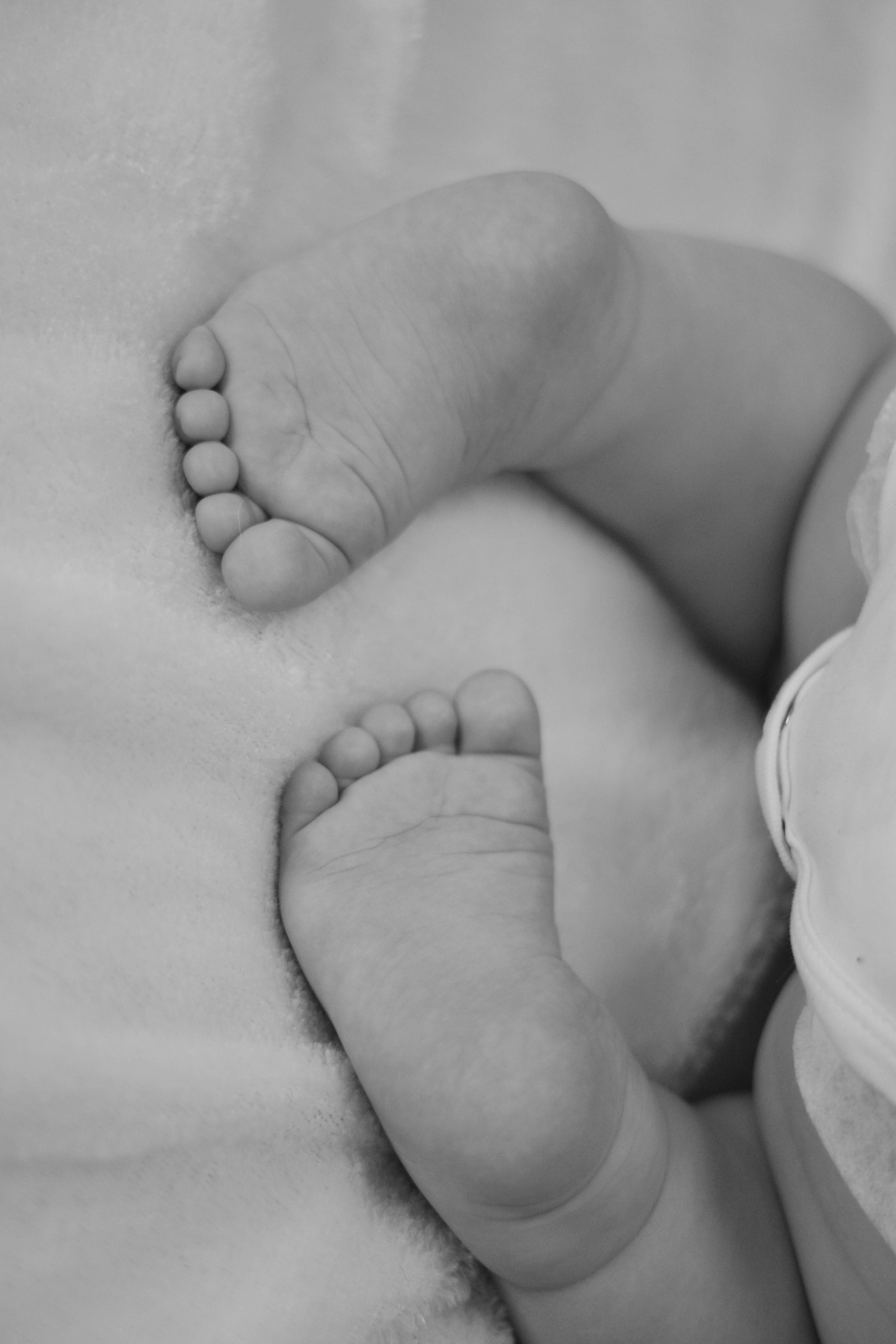 Семейная. Фотограф Ольга Дмитриева. Новосибирск