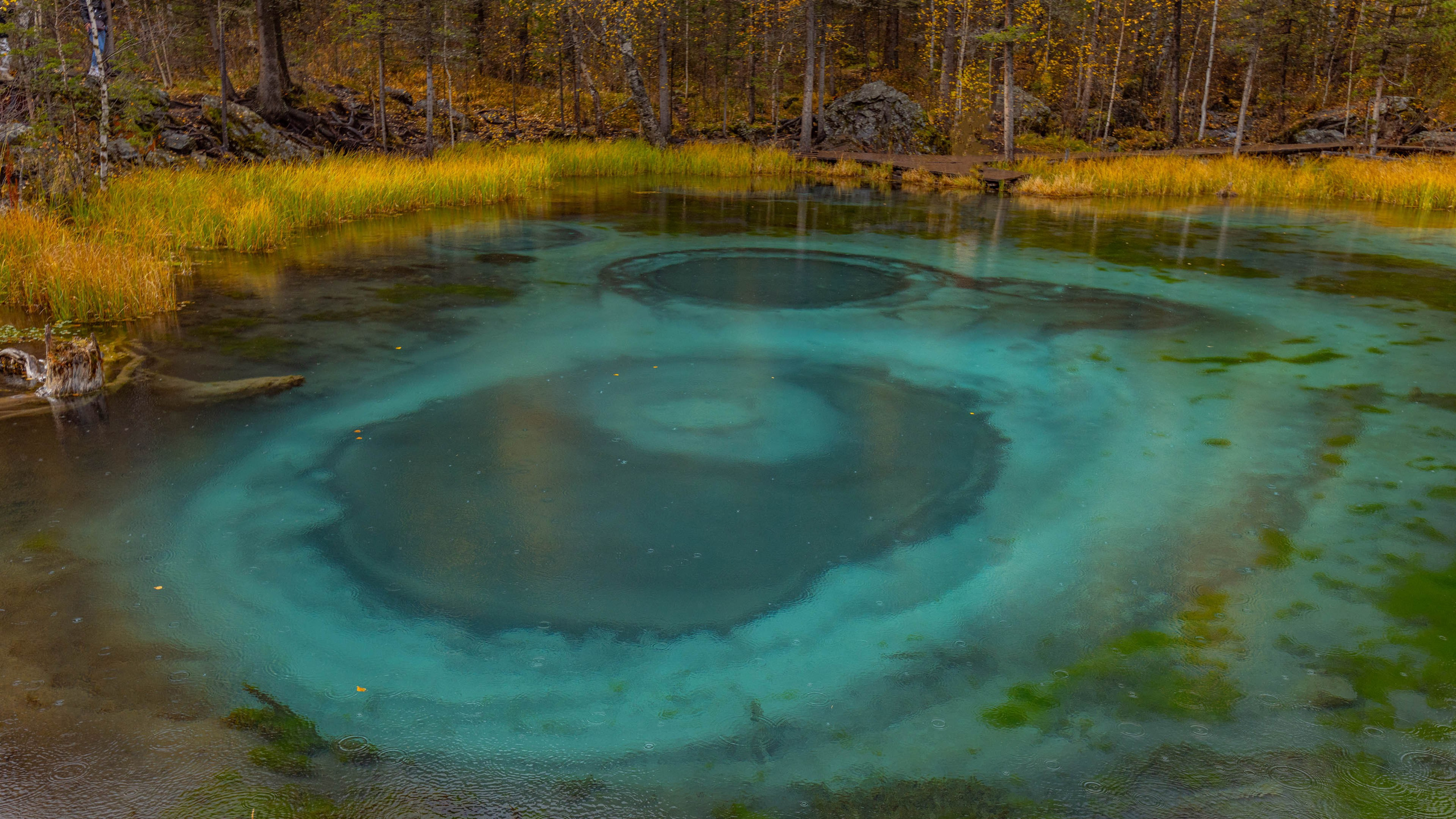 2025 09 Алтай. Чуйский тракт. Фотографии