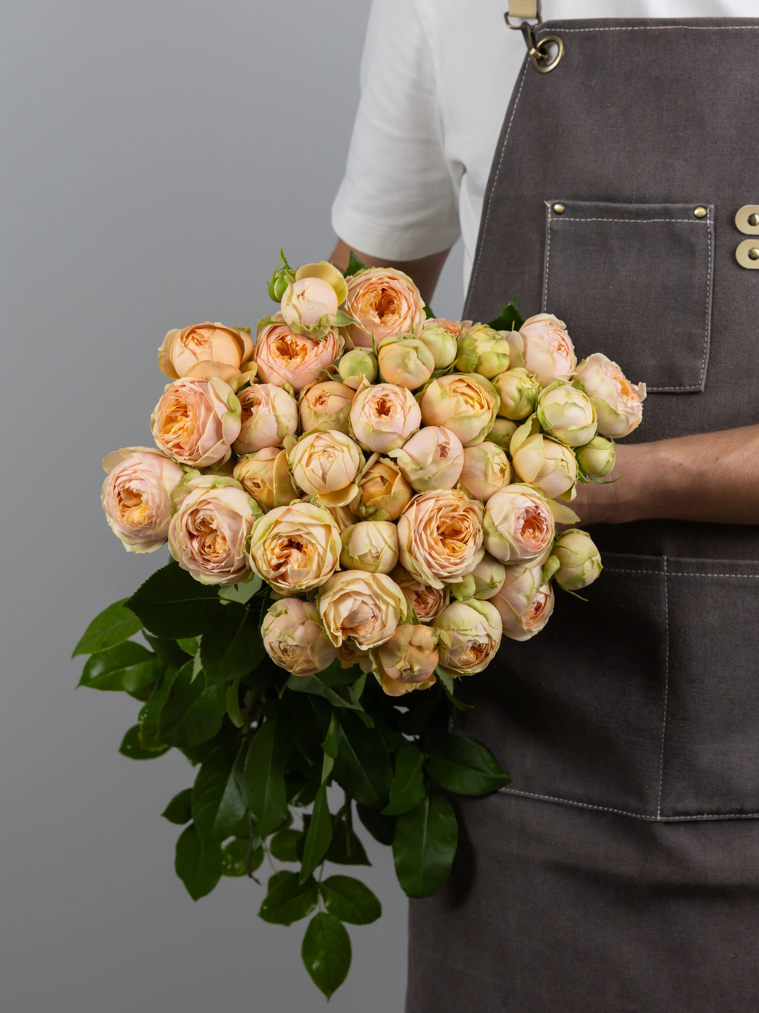 ЦВЕТЫ. ФОТОГРАФ ВИНОГРАДОВА ДАРЬЯ