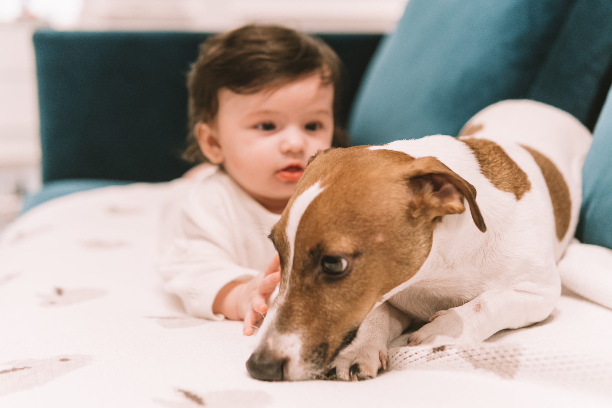 Детские съемки. Семейный, детский и лайфстайл фотограф в Москве Альбина Соколова