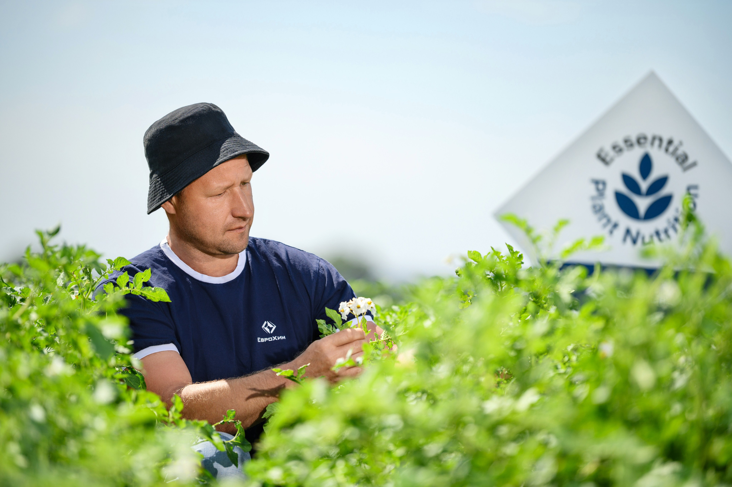 Проекты. Профессиональный фотограф Вячеслав Плацында | Липецк |