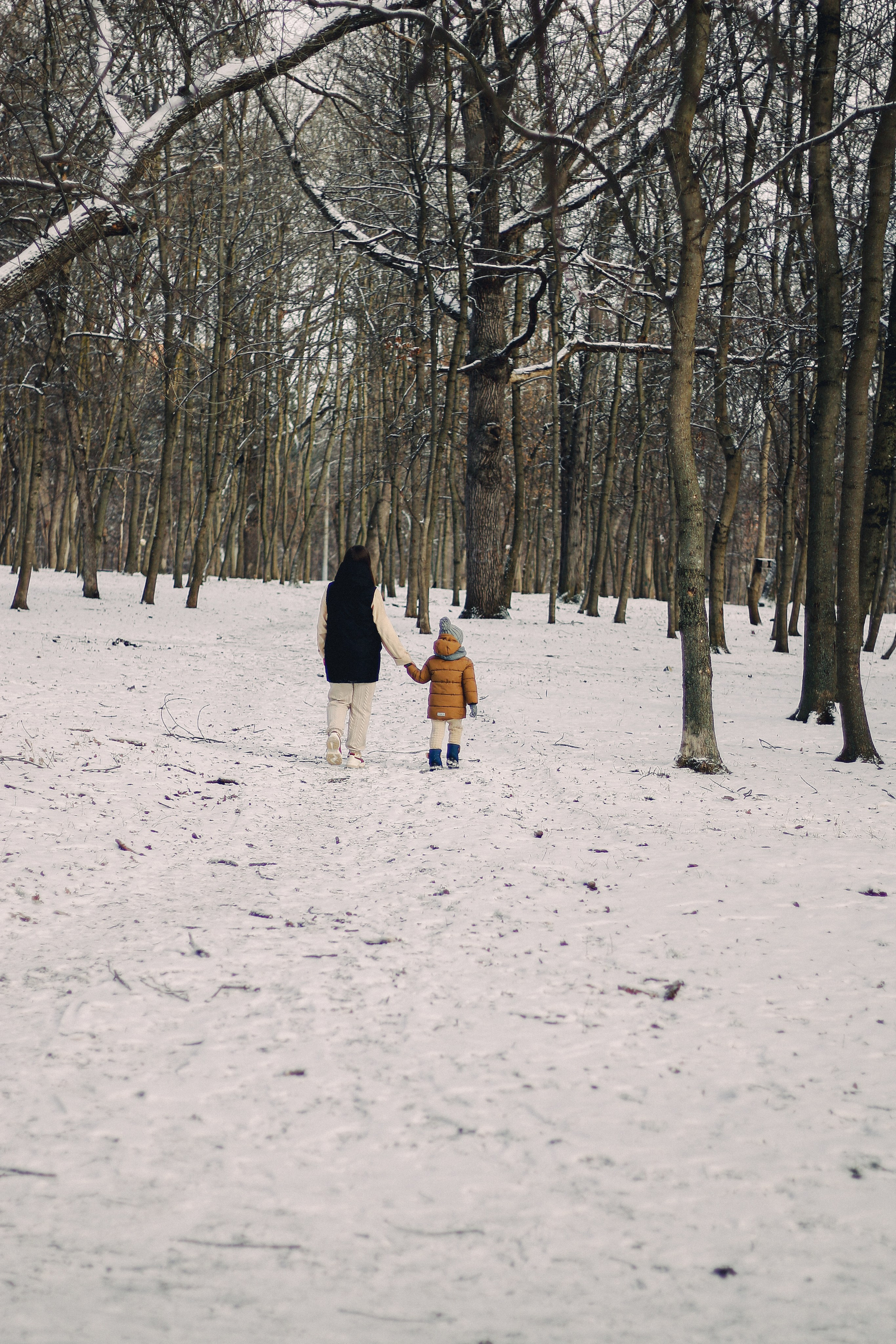 Зимний Краснодар. Фотограф Краснодар
