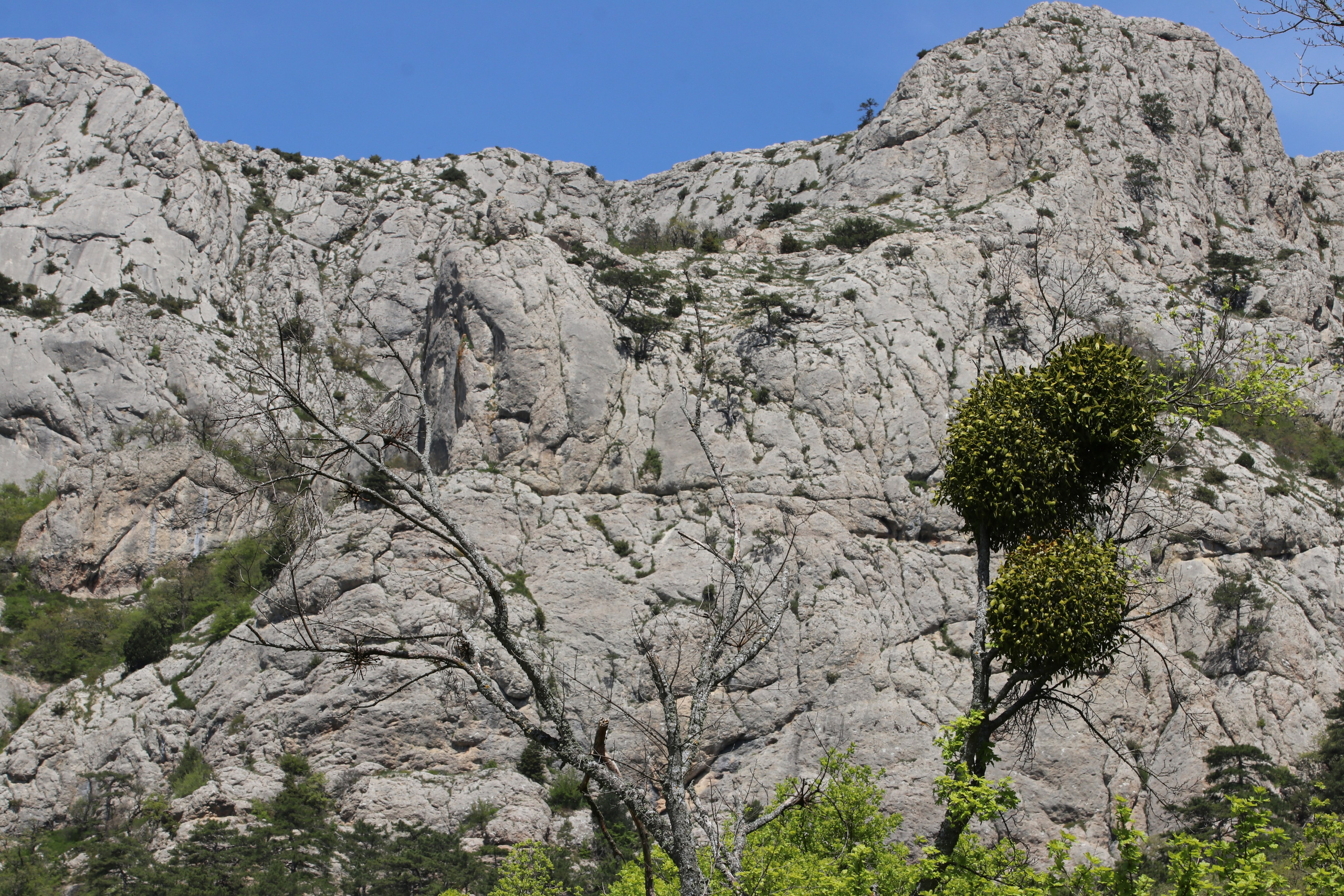 Крым. ЮБК (Севастополь, Кастрополь, Ялта). Май 2023. Путешественник-фотограф из Санкт-Петербурга Татьяна Свистулина