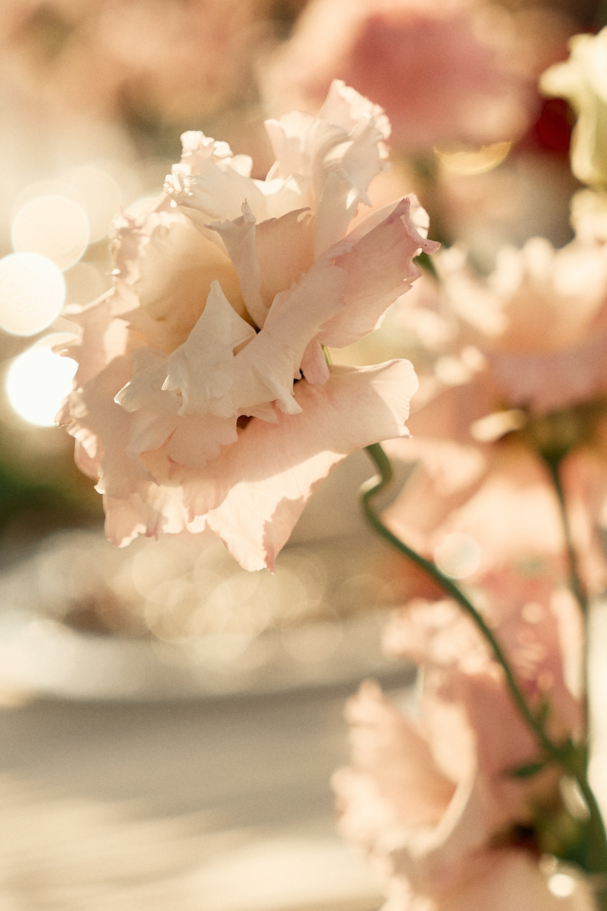 Дмитрий & Элина. Главная