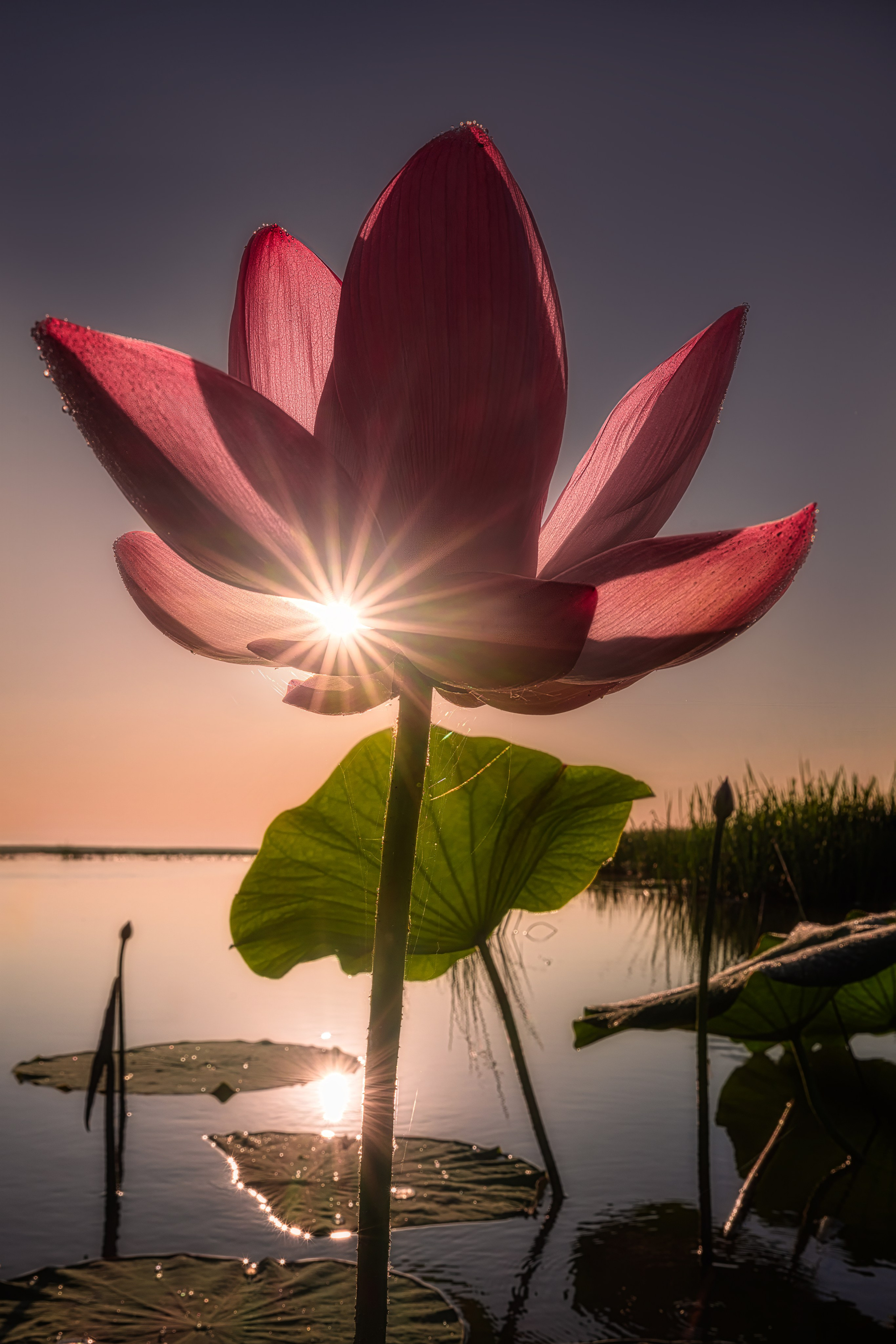 Астраханская область 2025 | Фотограф Дмитрий Купрацевич. Дмитрий Купрацевич профессиональный пейзажный и travel-фотограф