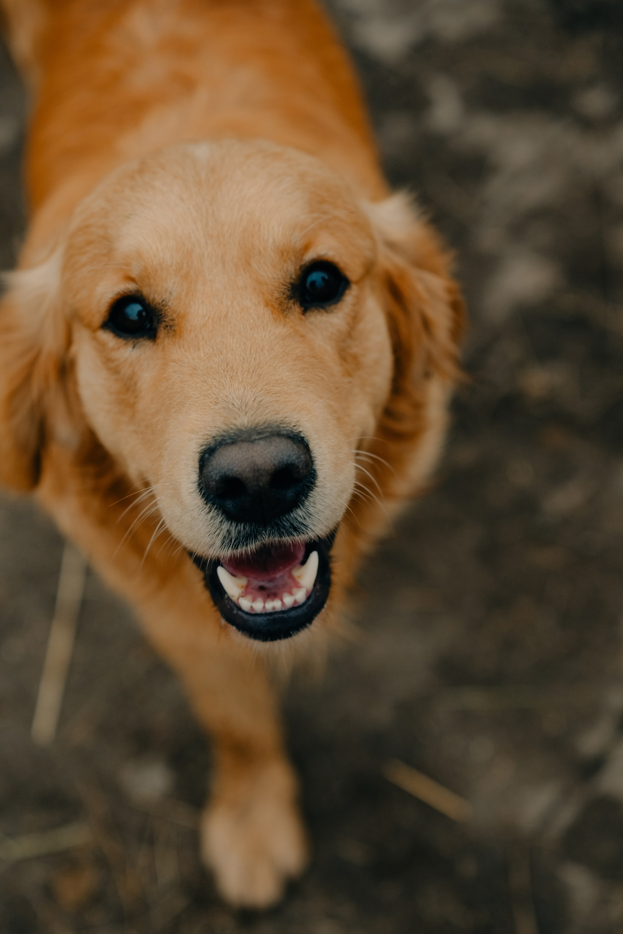 Зоопарк в моём багаже. Кошенкова Мария: портретный и репортажный фотограф. Санкт-Петербург
