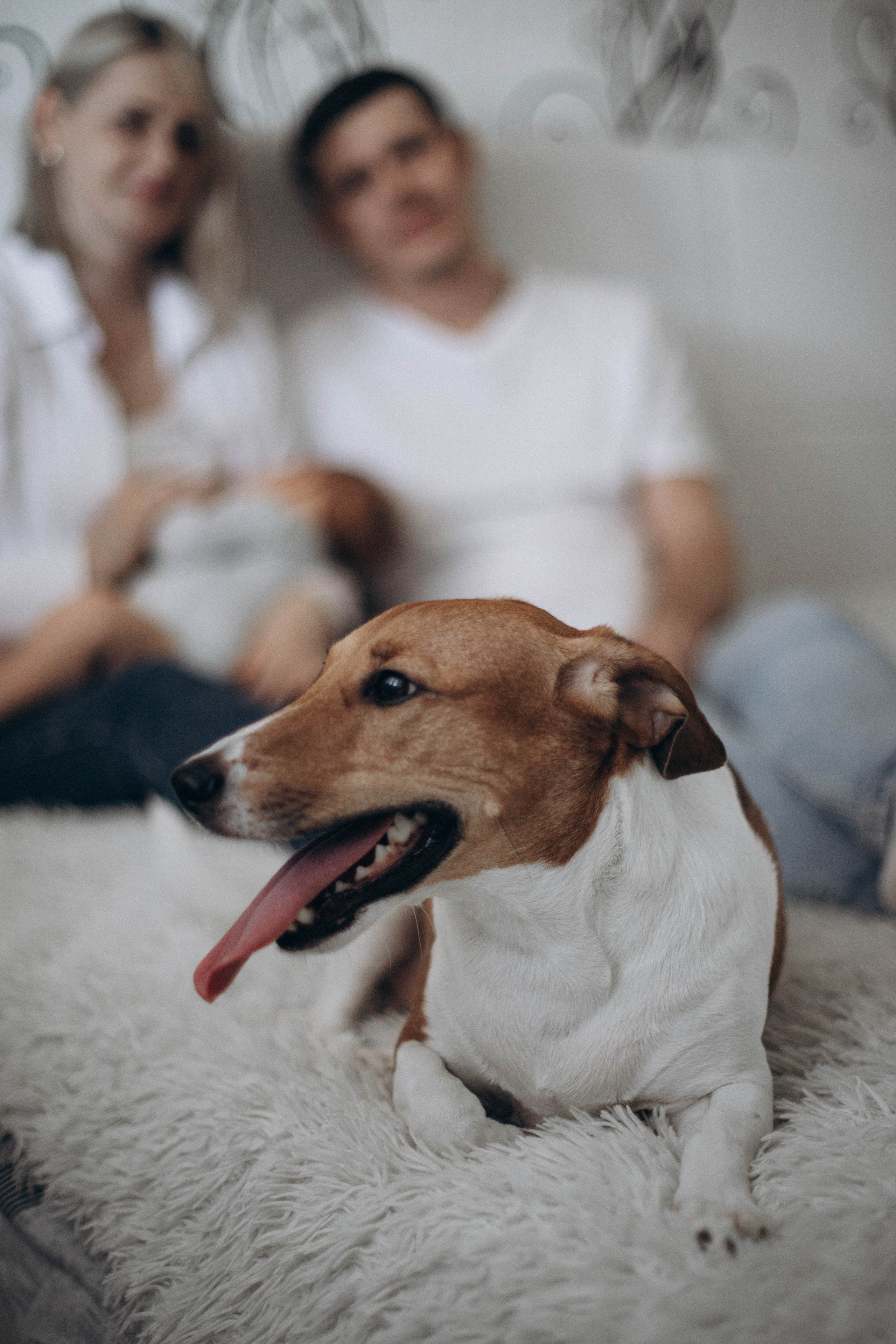 Добро пожаловать в семью. Семейный фотограф Москва Ирина Малышева