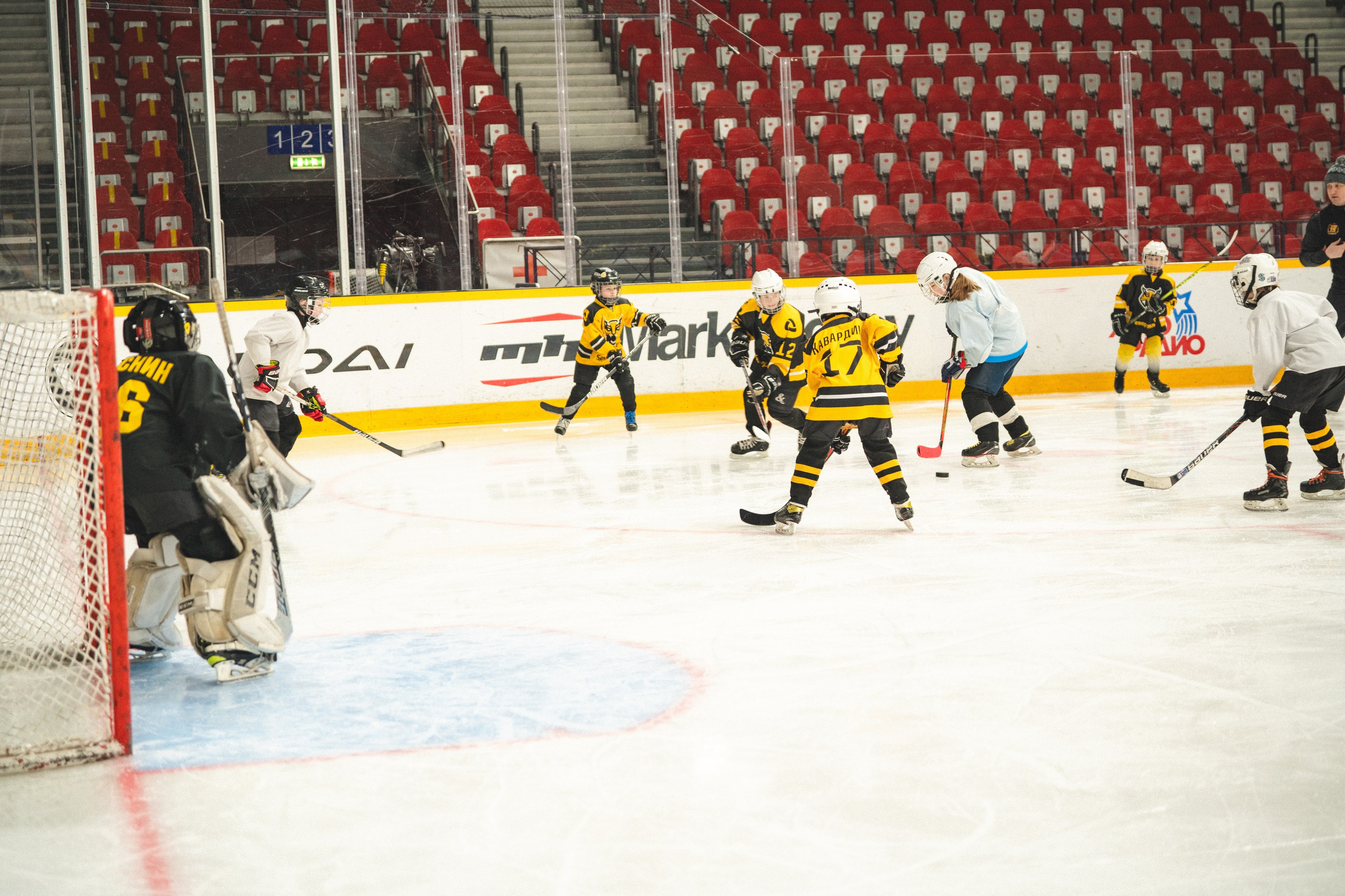ХК Северсталь (младшая группа). Череповец. Zekons. Фото, видео, нейросети