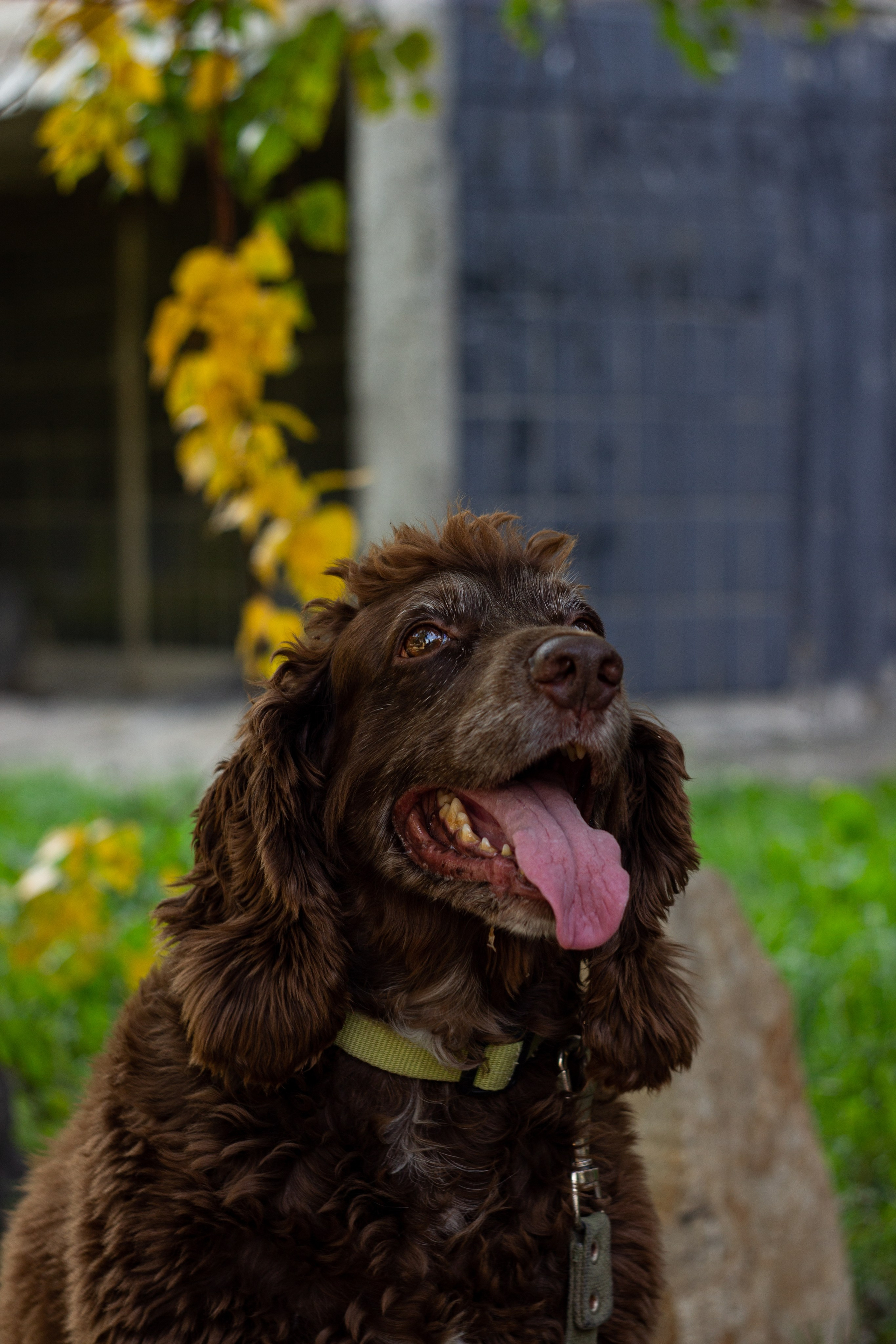 Осень '23. Сохраняю ваш свет на пленке и на цифре
