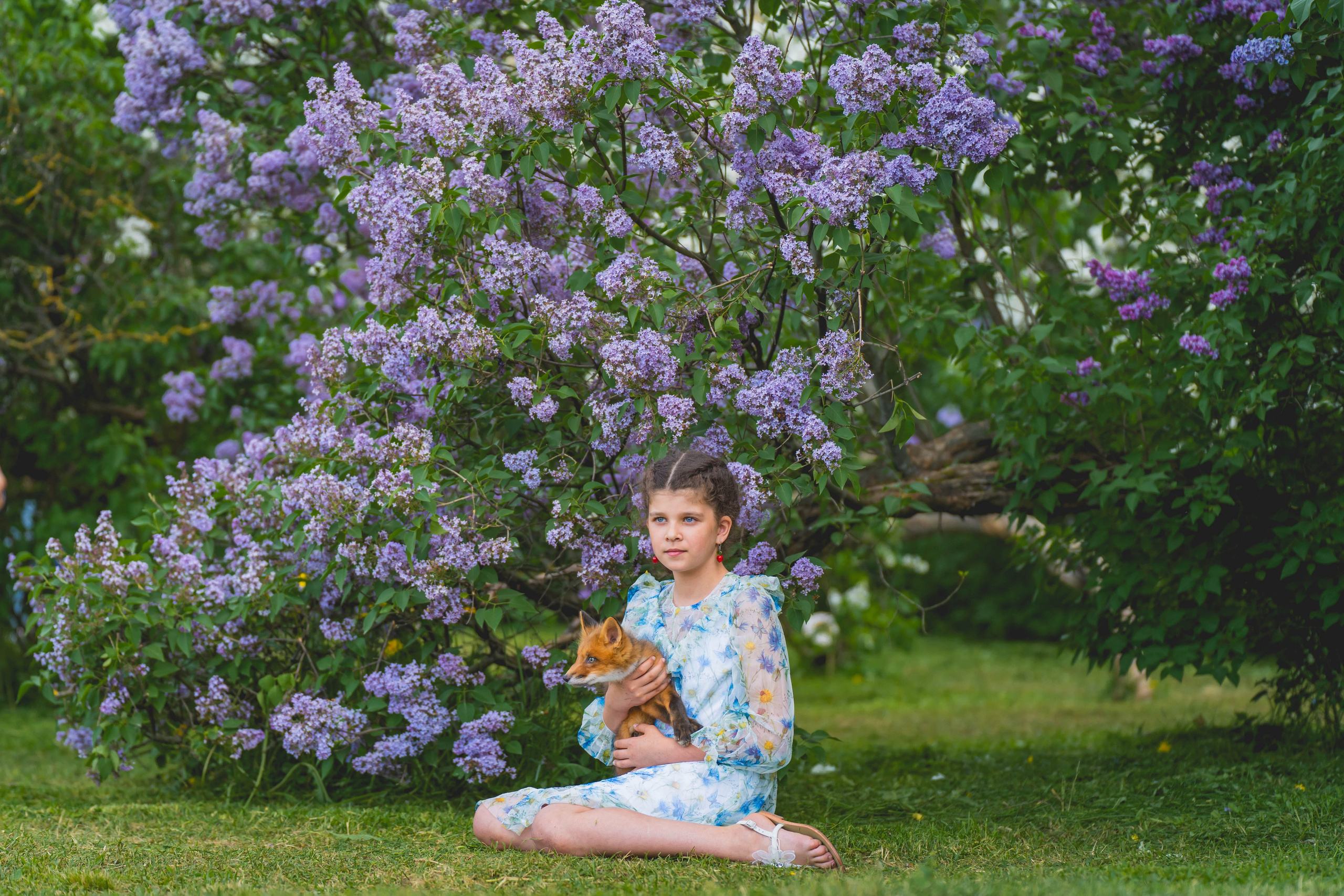 Аля и Данте. Фотограф в Москве Ленарская Дарья