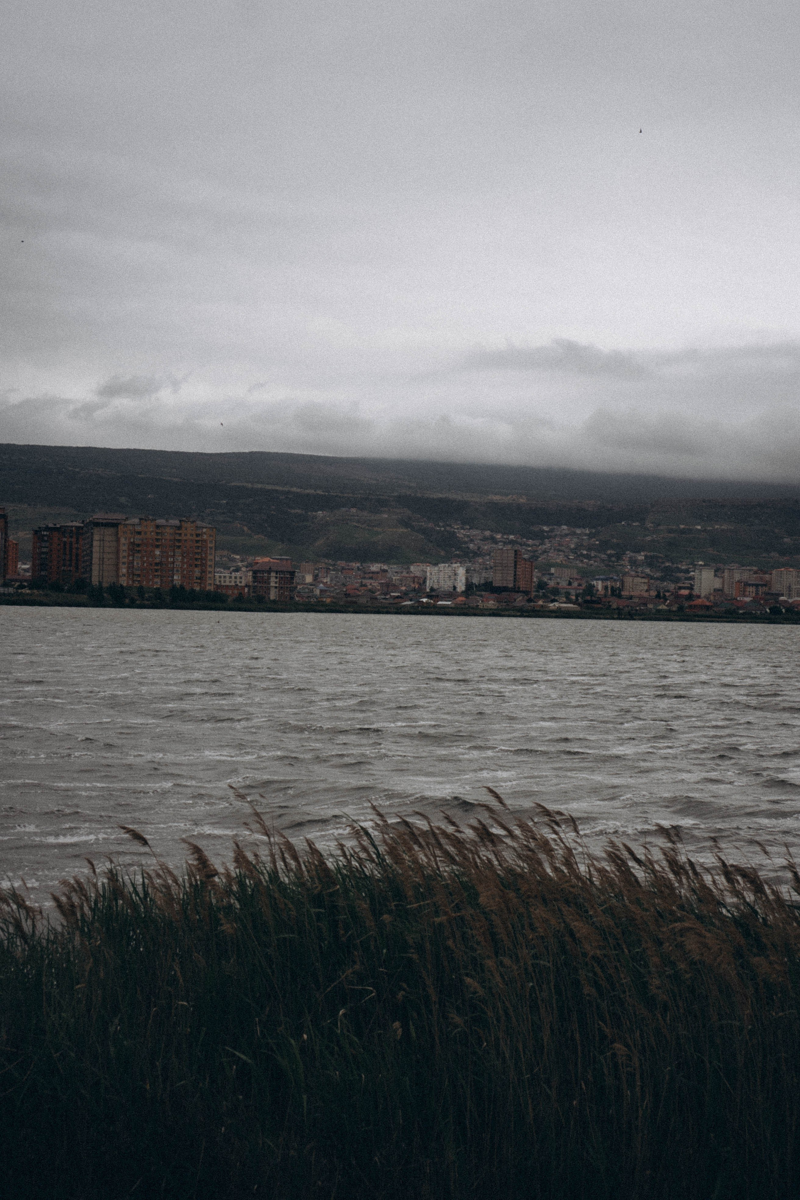 Кавказ. Профессиональный фотограф, Санкт-Петербург — Виктория Богомолова