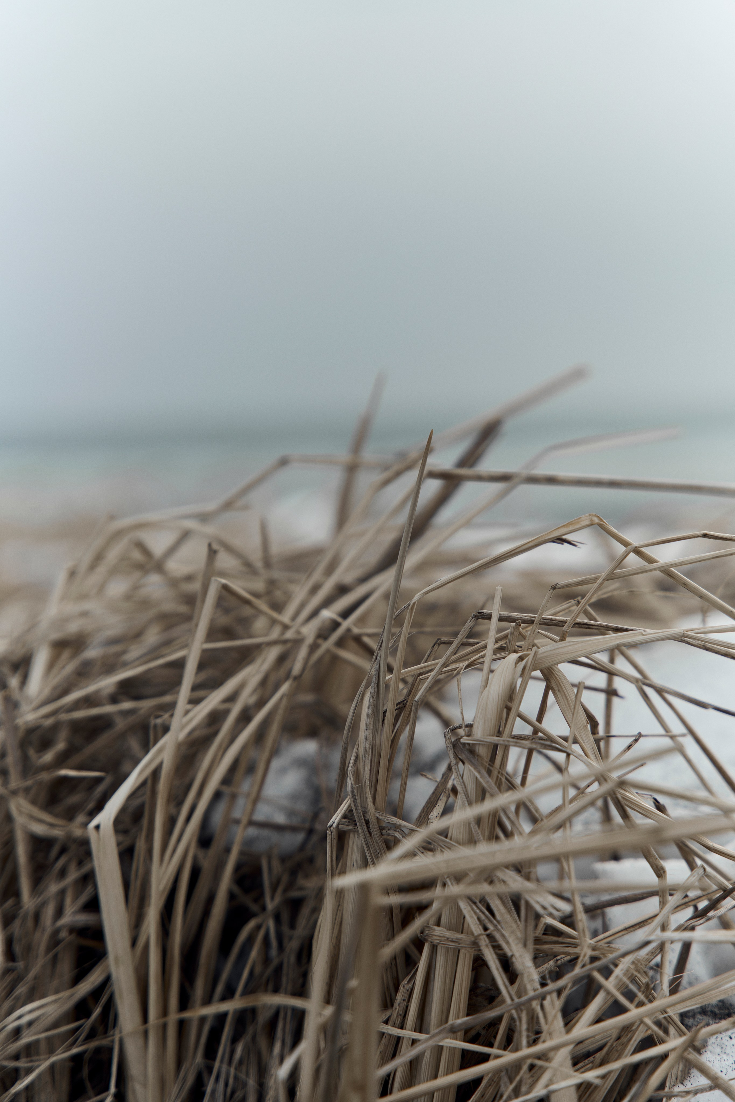 ОКЕАН МК. ФОТОГРАФ КАМЧАТКА