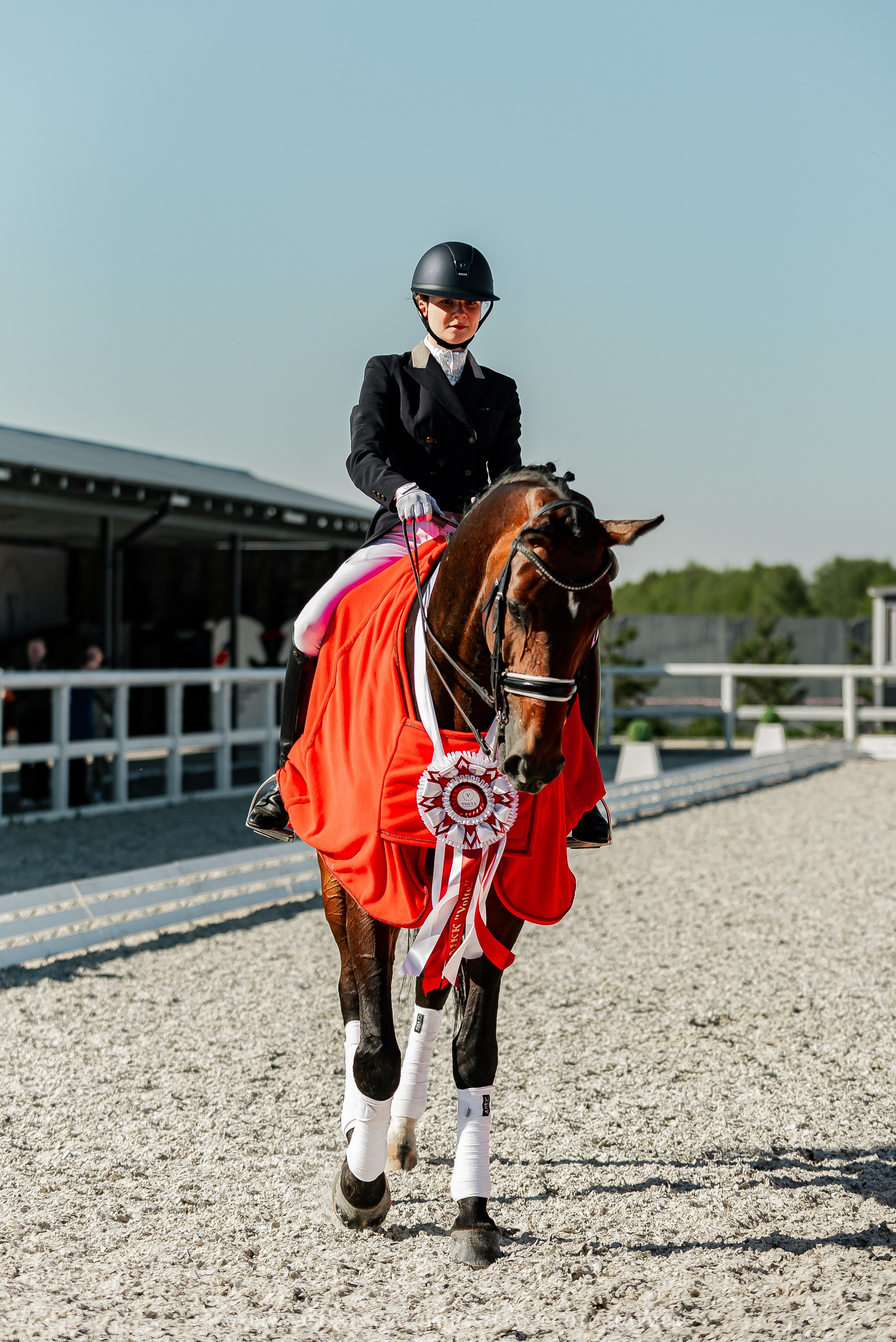 РЕПОРТАЖ МКК ВОЛЬТ «LA TULIPS». Конный фотограф Куракина Дарья • Фотосессии с лошадьми
