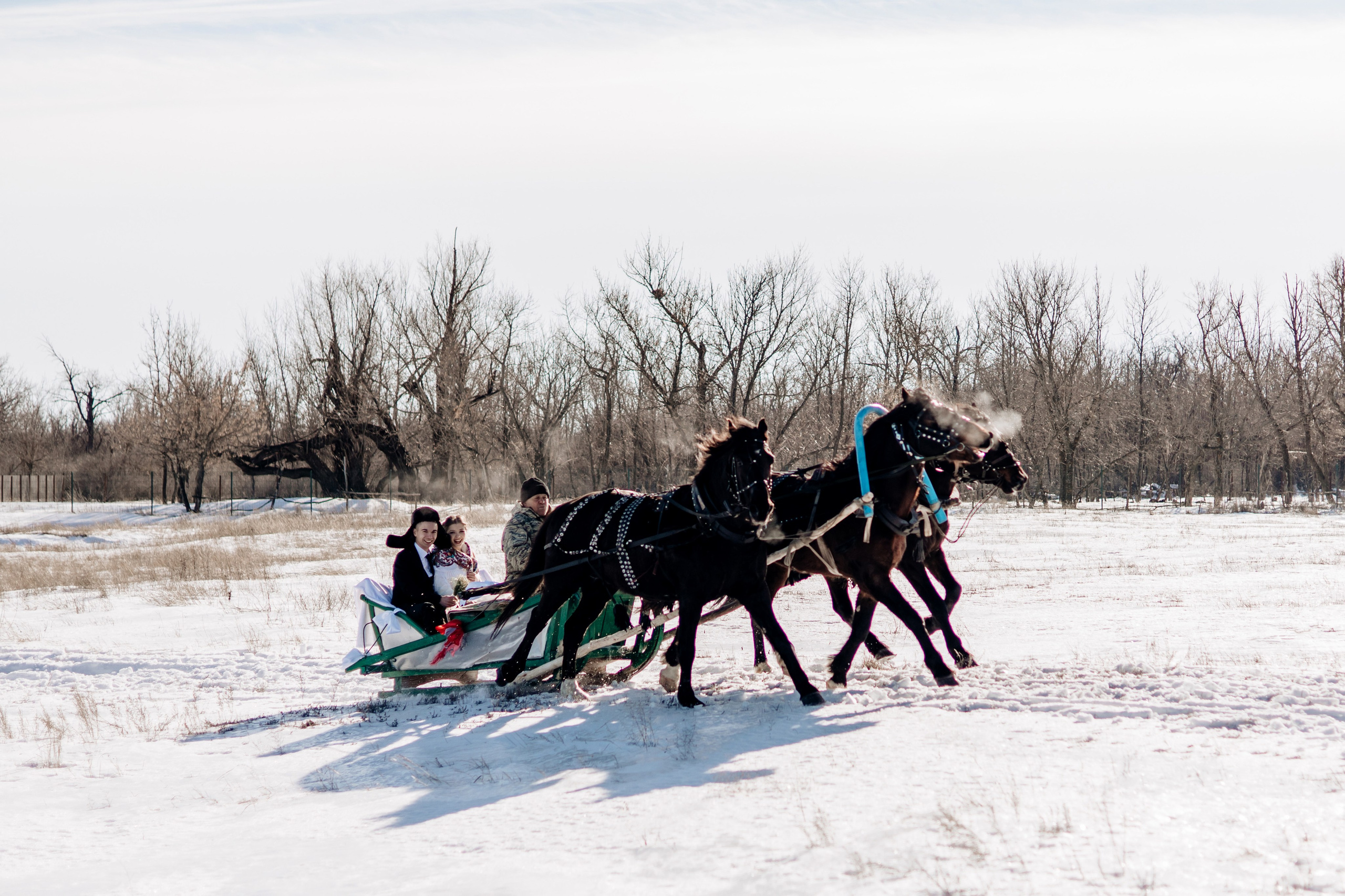 Свадьба Артема и Полины. Свадебный фотограф и видеограф Саша и Таня в Саратове