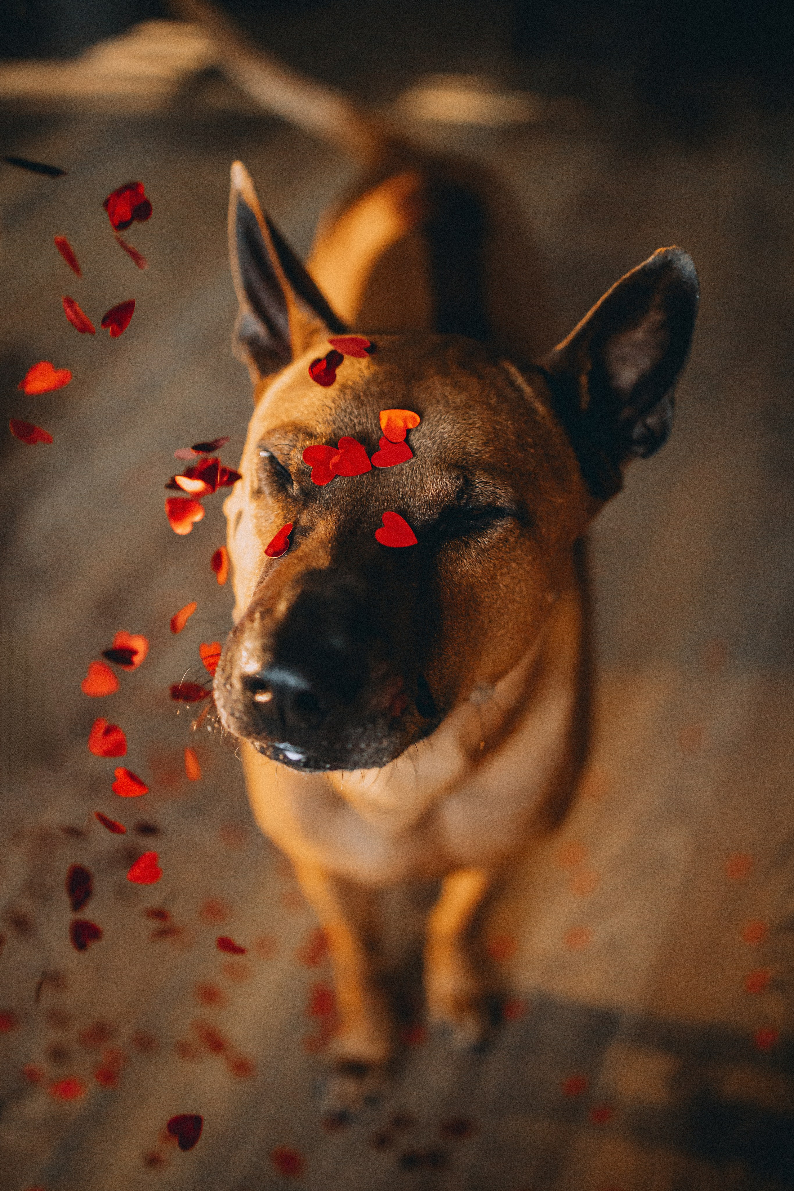 Оксана и Зевс