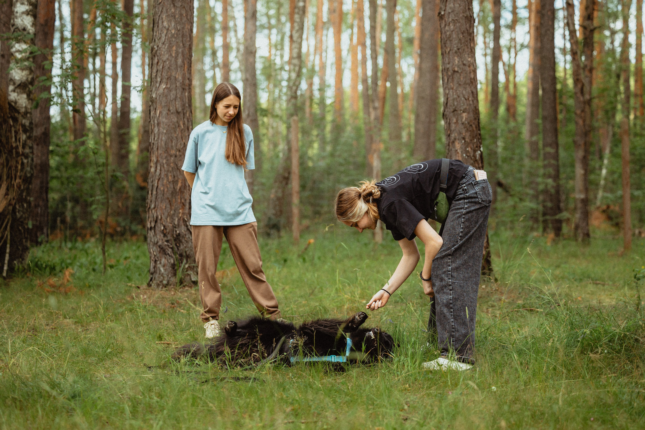 Выездной дог-тренинг от школы «Шерсть имею»