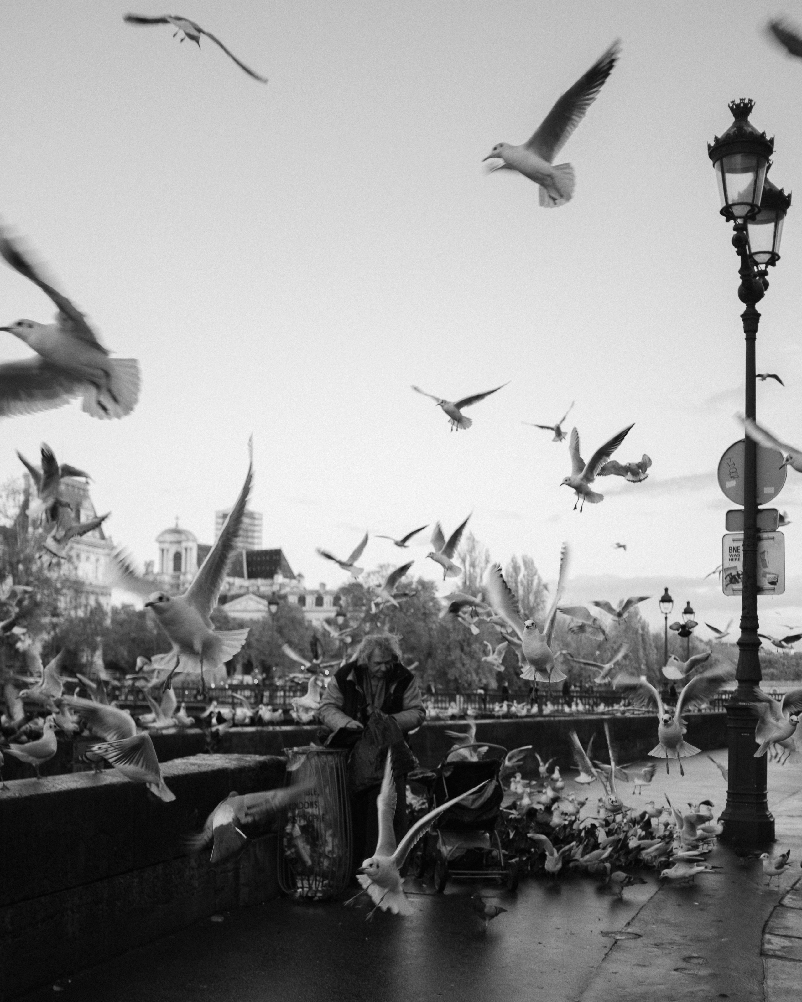 Франция. Фотограф Екатерина Катунова | Москва