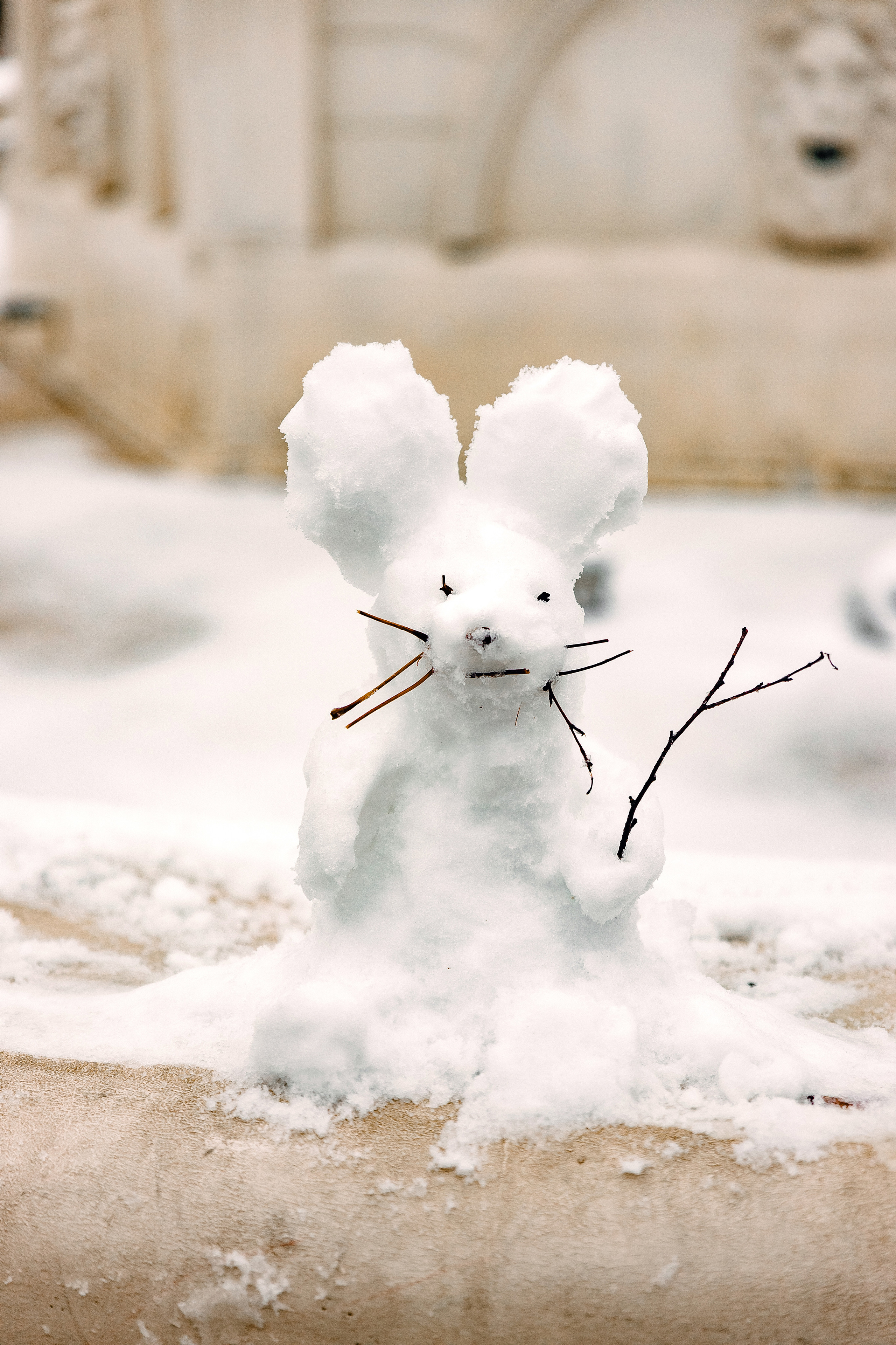 Евгений и Юлия. Диана Тимиряева | Фотограф в Воронеже