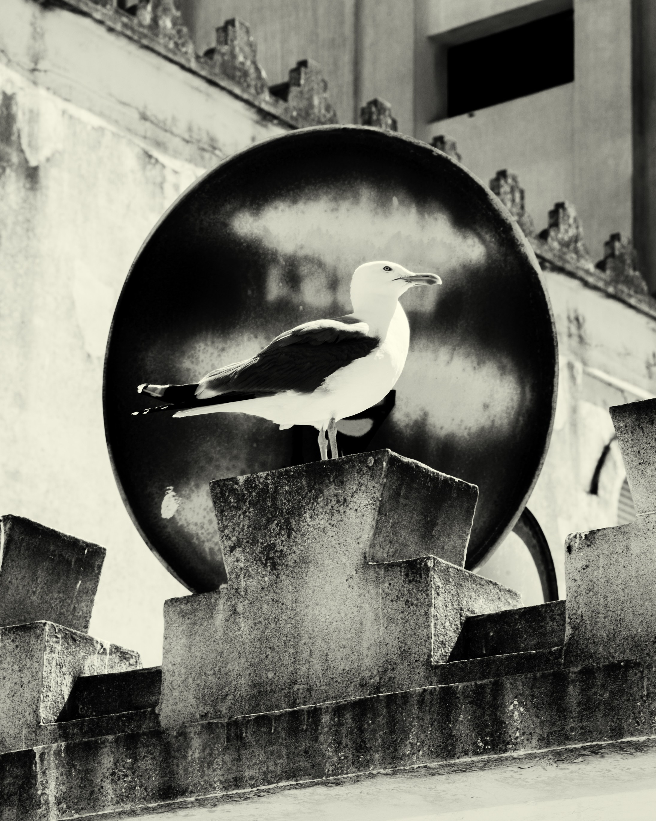 Северная Африка: Тунис, Марокко. Фотограф в Хабаровске. Фотография за 24 часа