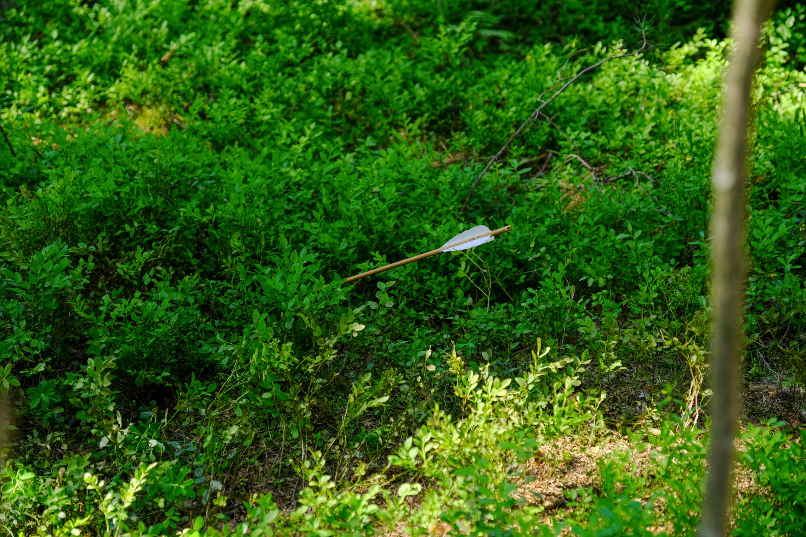 Корпоративный турпоход 500 чел. Территория M.I.C.E. Территория EVENT. Организация мероприятий