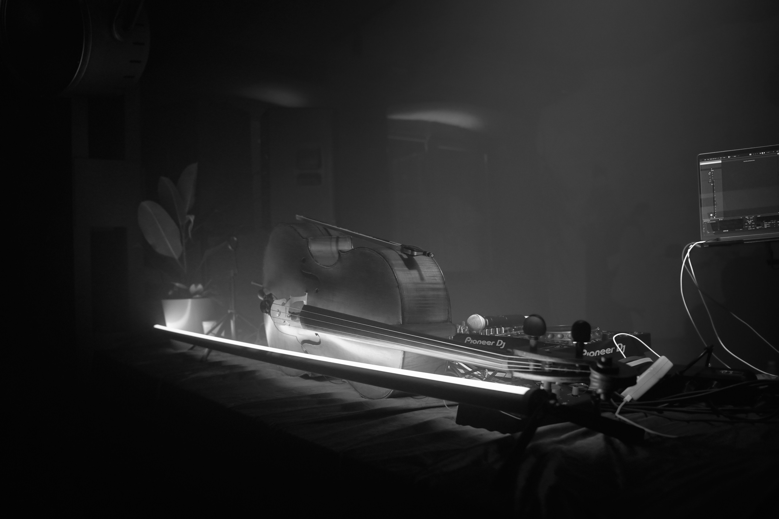 ACT 3 года. Фотограф