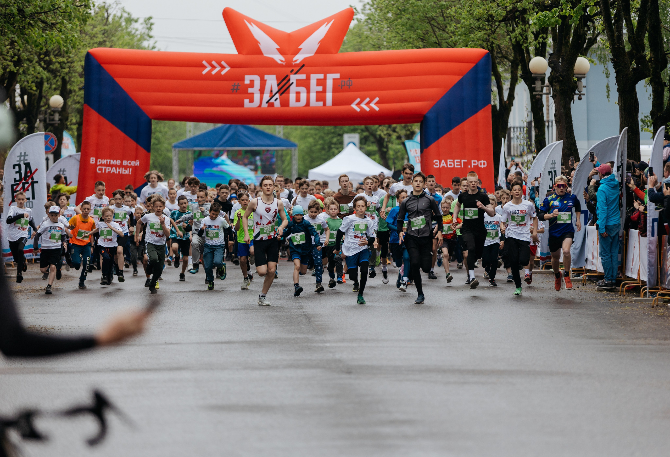 Забег.РФ (Гатчина 2025). Свадебный и репортажный фотограф в Санкт-Петербурге