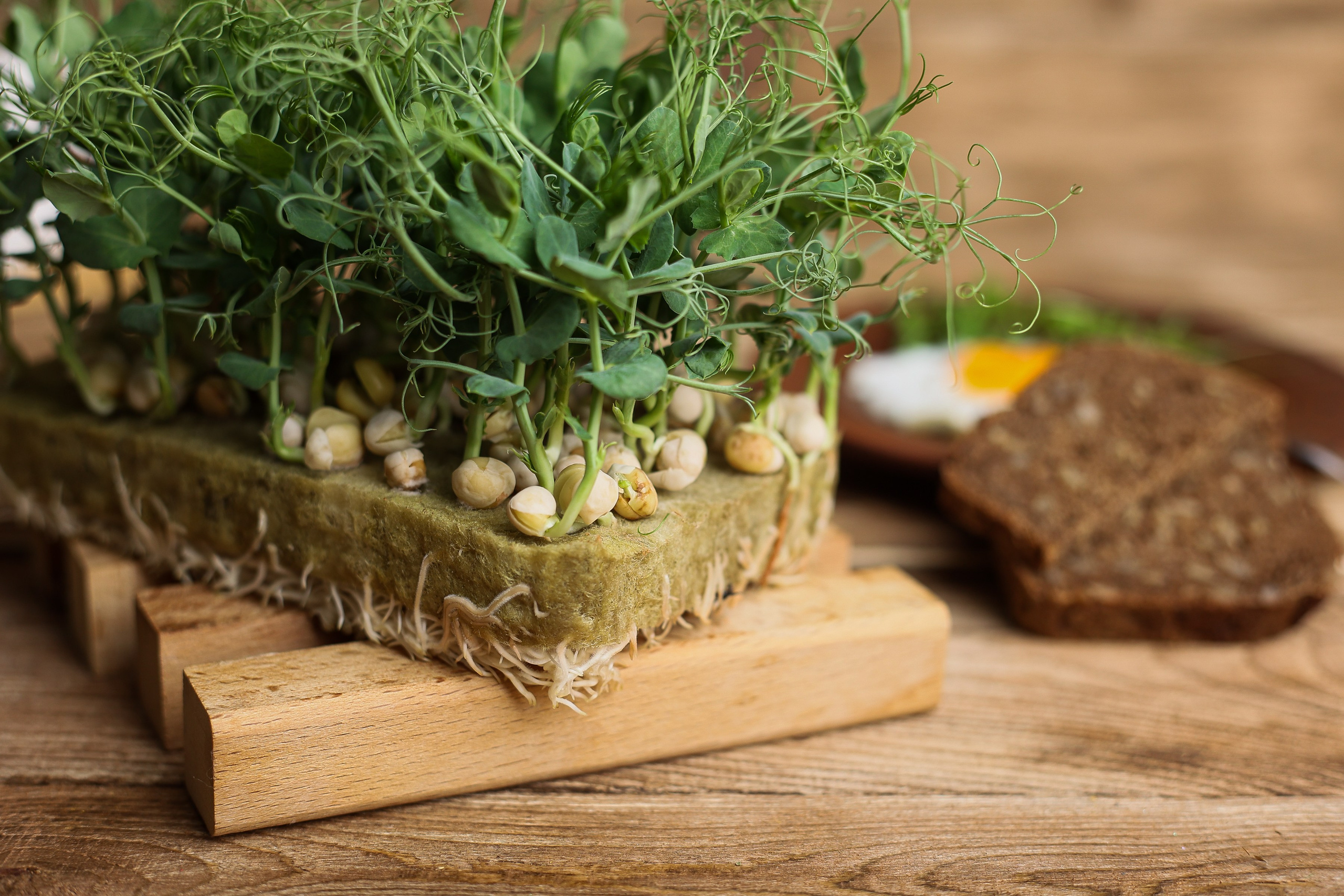 Портфолио. Предметная съемка