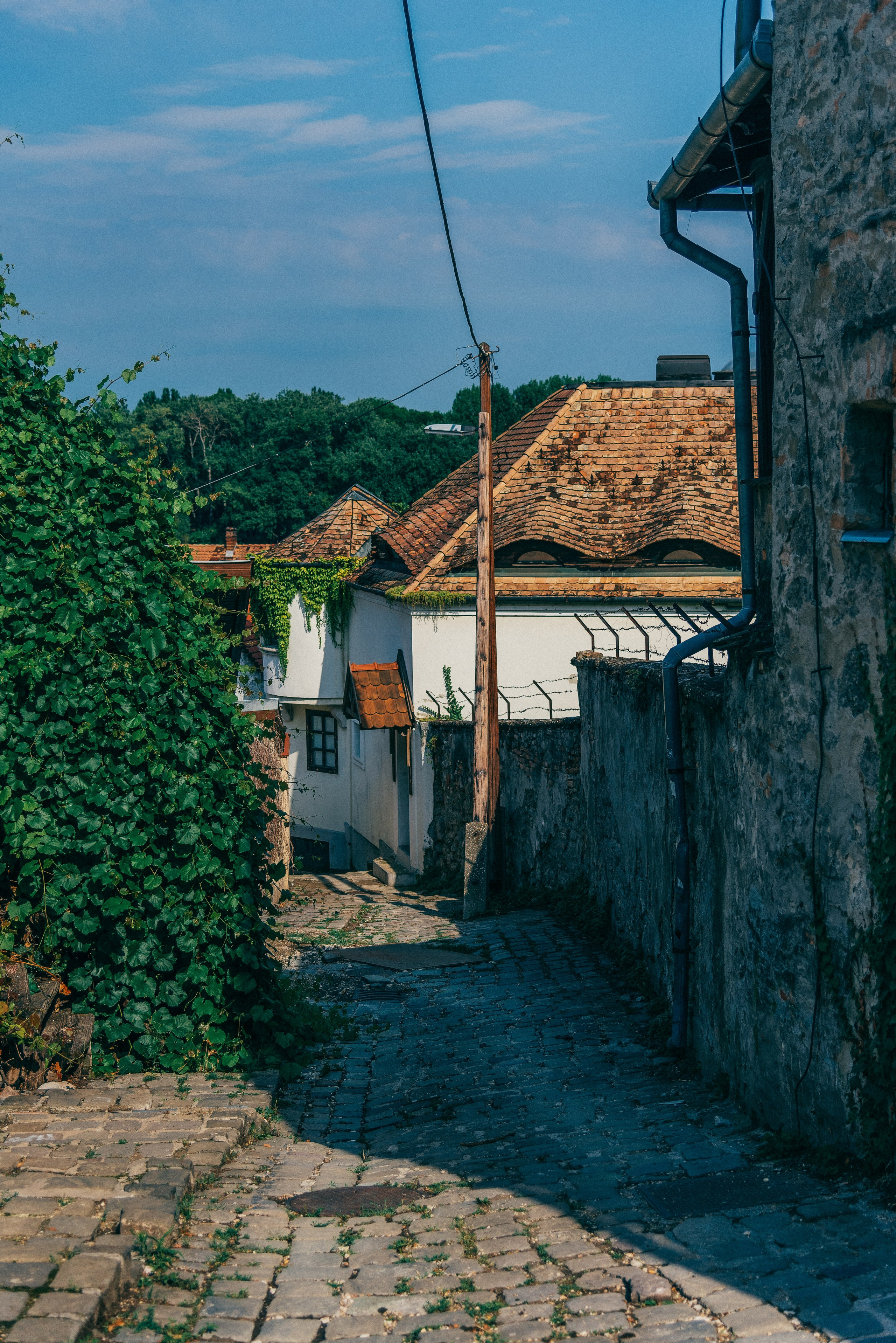 Будапешт, 2019. Фотограф Марк Арсаков