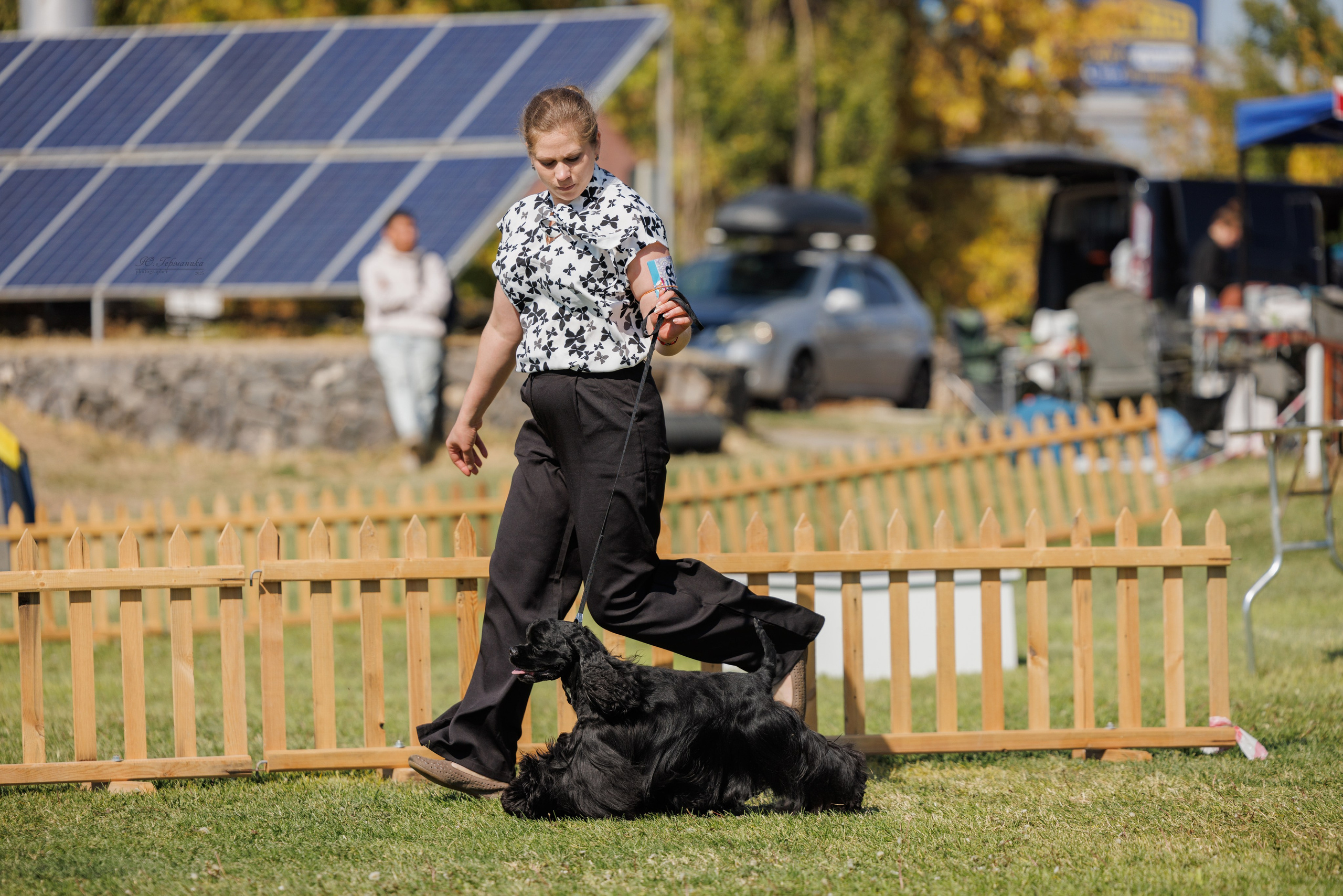 Ереван 14-16.10.2025. Фотограф-анималист Юлия Германика