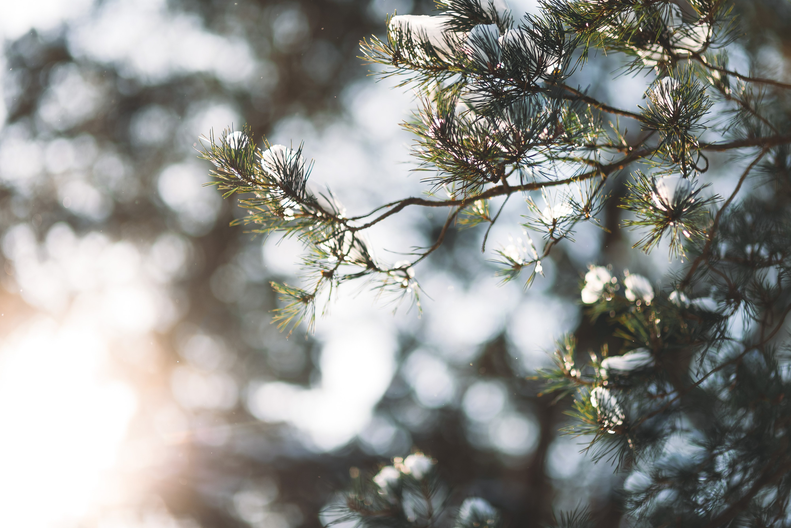 Зимняя фотосессия на улице. Свадебный и семейный фотограф в Минске Филиппович Александр