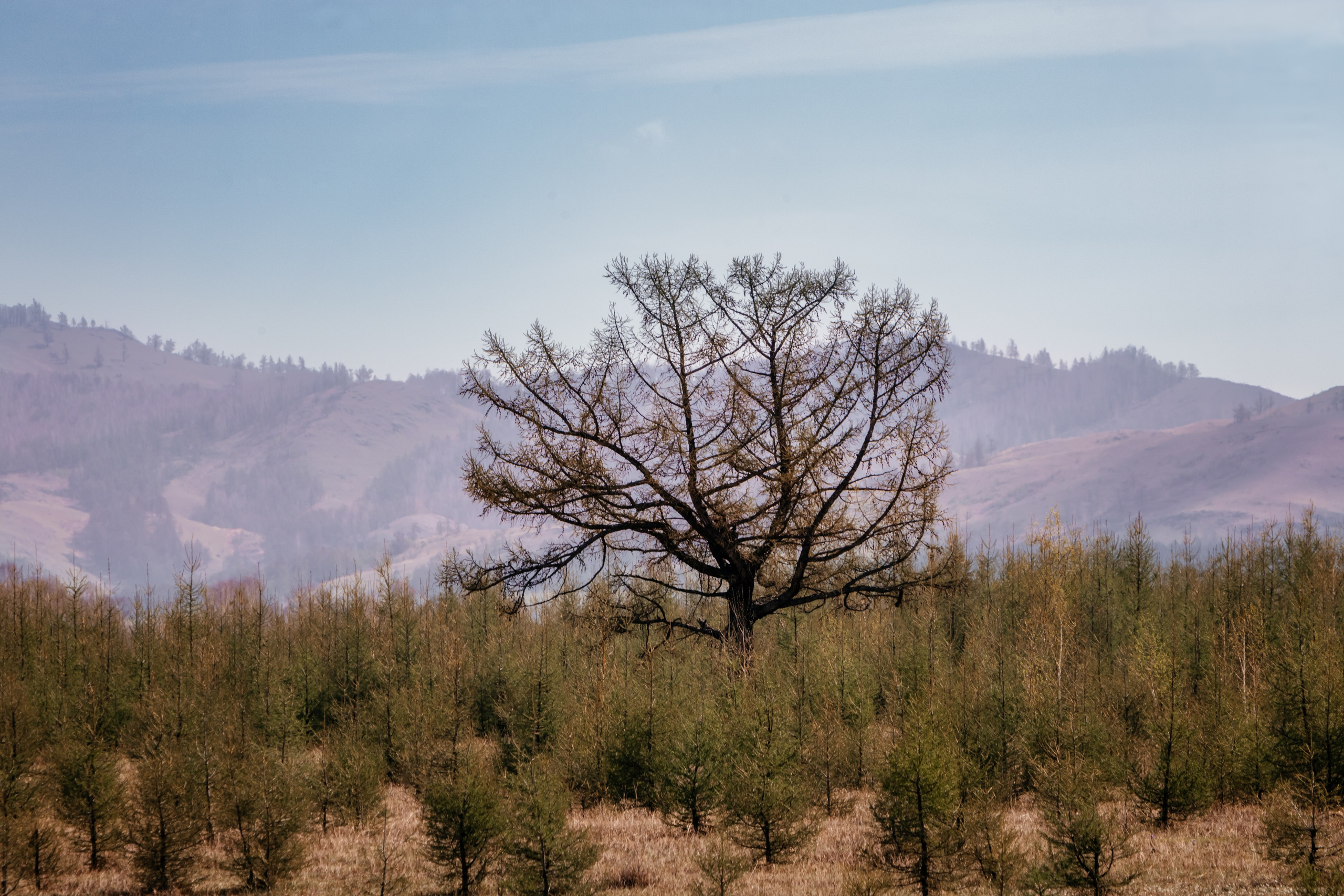 Хакассия. Фотограф в Красноярске Оксана Корчагина