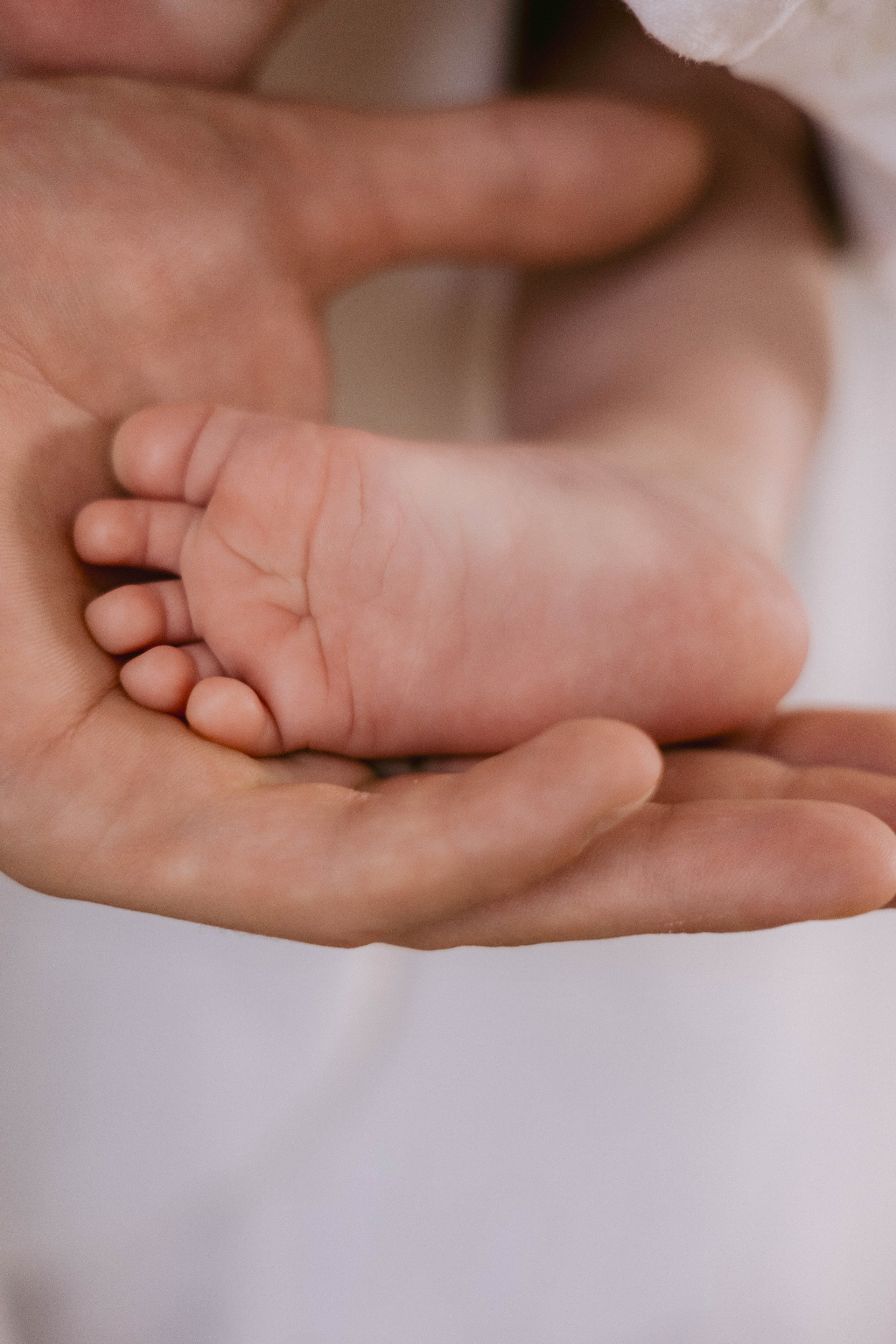 Алена, Егор, Мирон. Фотограф в Волгограде Кристина Прохоренко