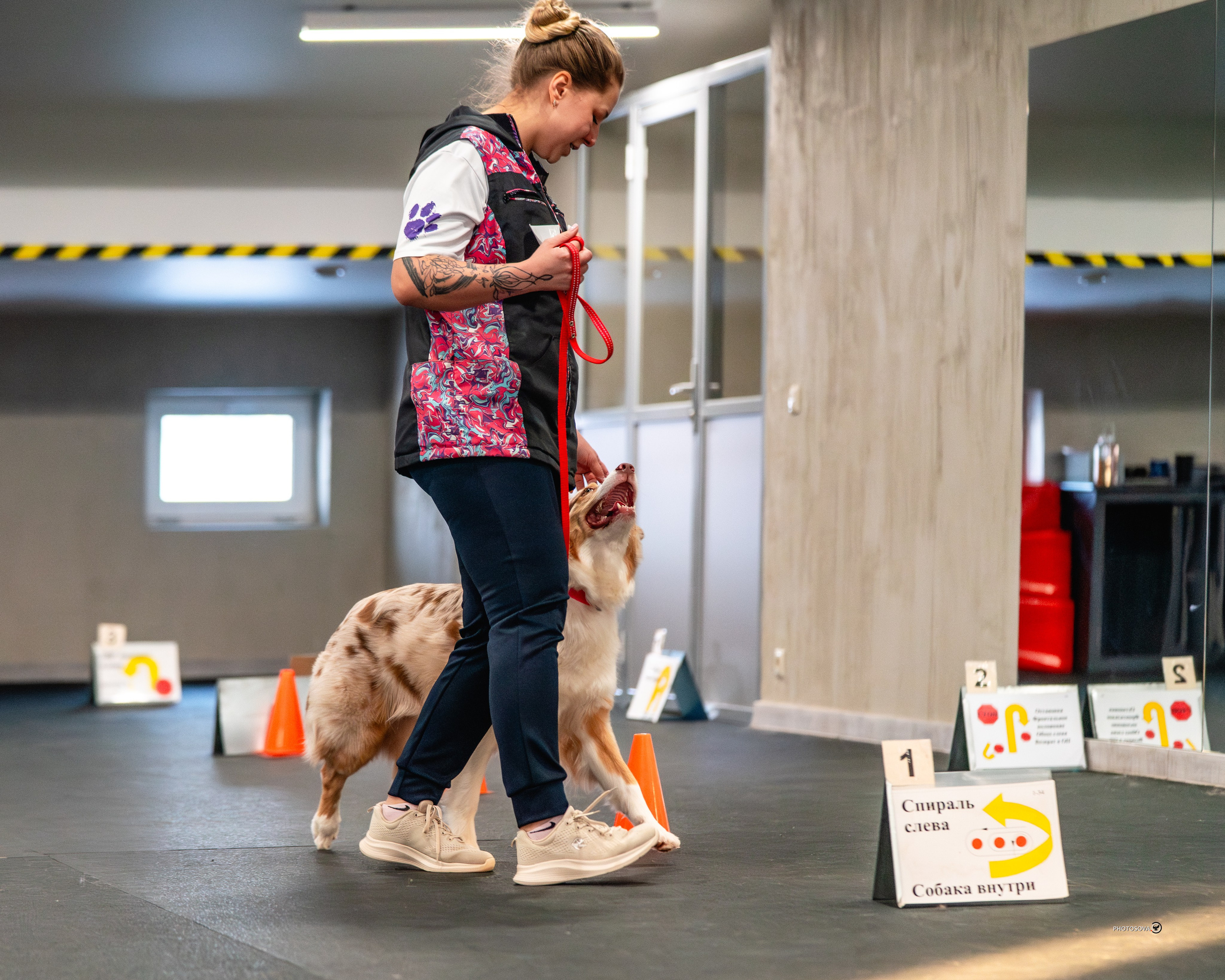 ТЫ И Я (соревнования по ралли-обидиенс). Фотограф-анималист, семейный фотограф в Москве и Подмосковье. Фотосъёмка кинологических дисциплин