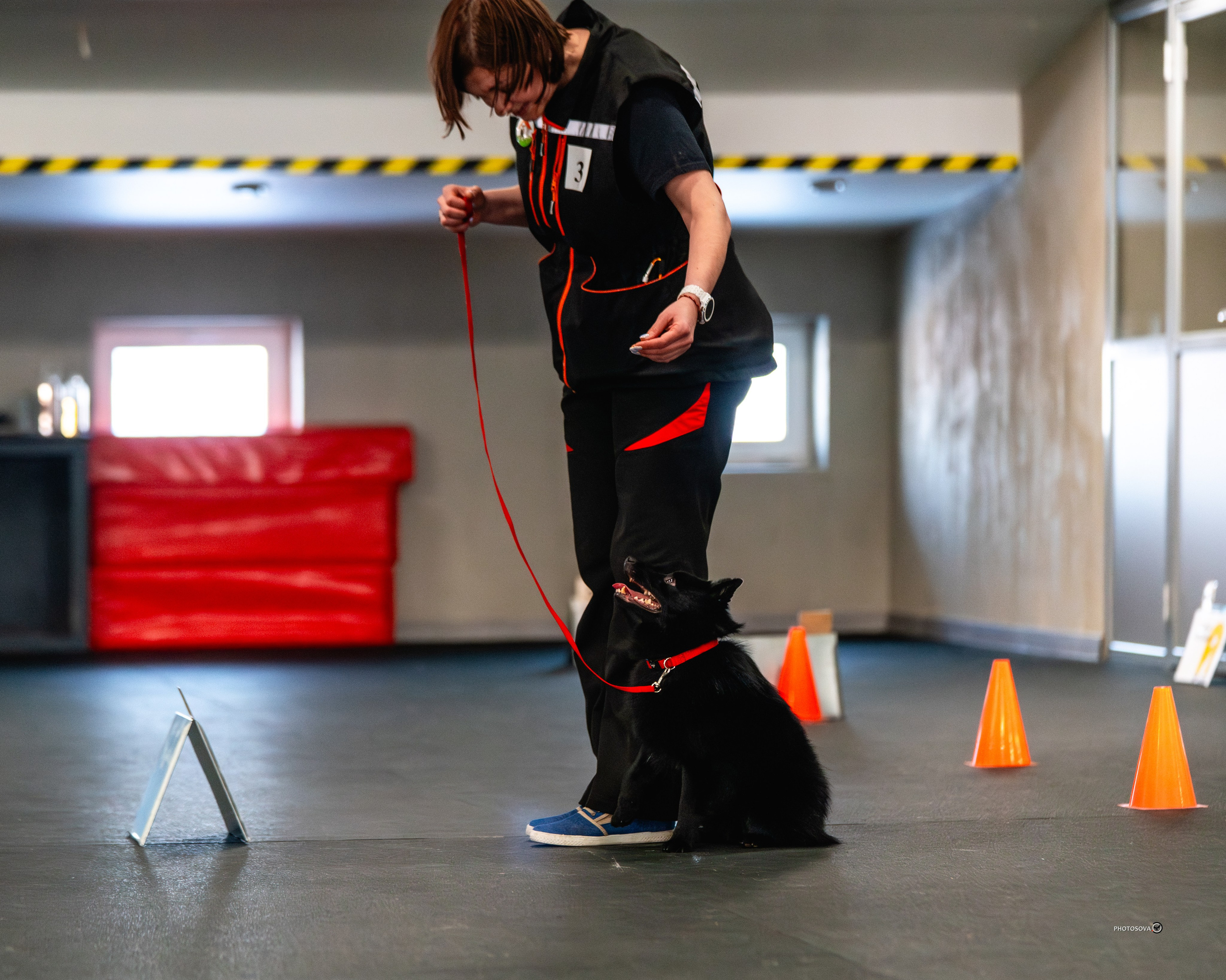 ТЫ И Я (соревнования по ралли-обидиенс). Фотограф-анималист, семейный фотограф в Москве и Подмосковье. Фотосъёмка кинологических дисциплин