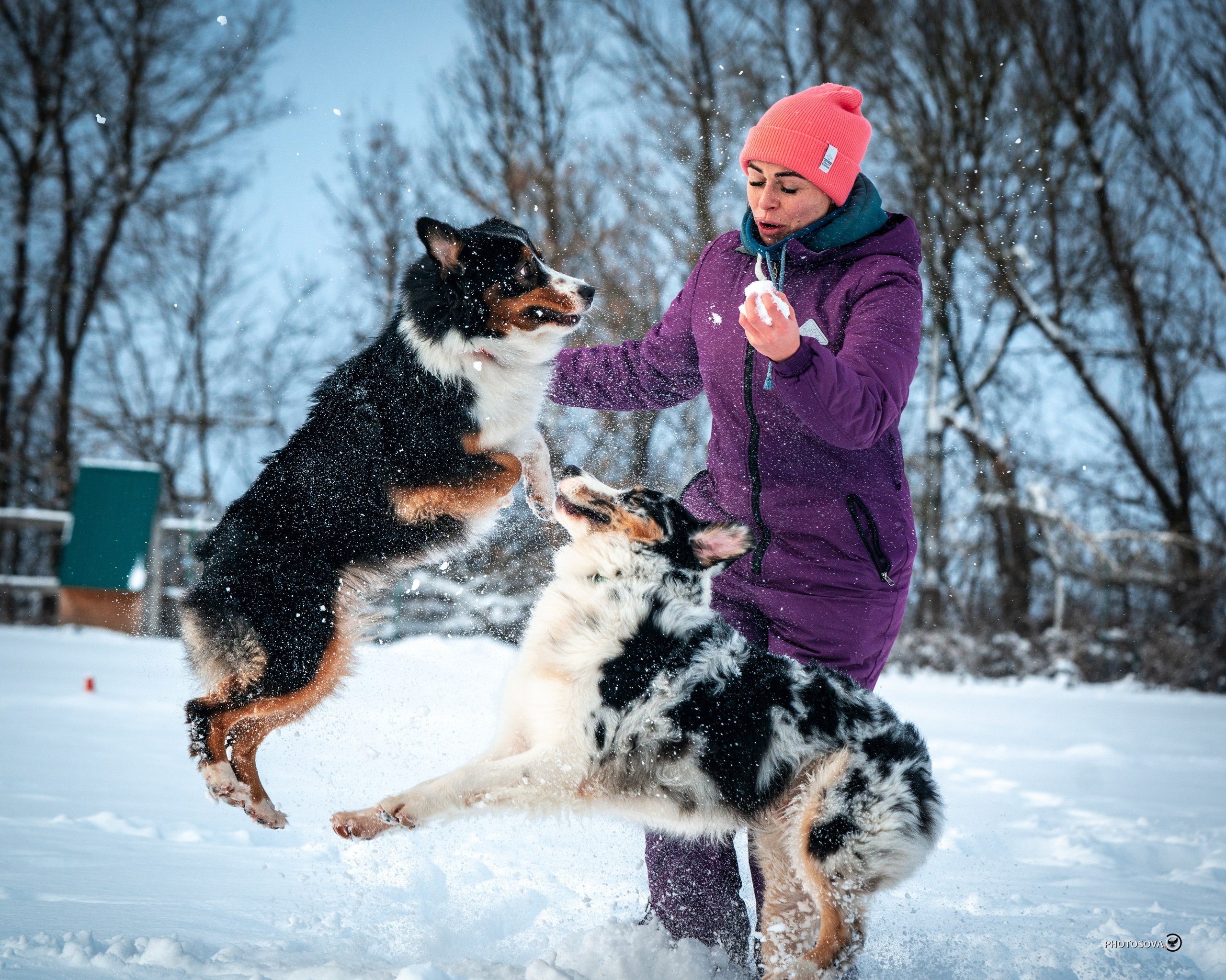 ФОТОПАМЯТЬ ВАШИХ ЭМОЦИЙ. Фотограф-анималист, семейный фотограф в Москве и Подмосковье. Фотосъёмка кинологических дисциплин