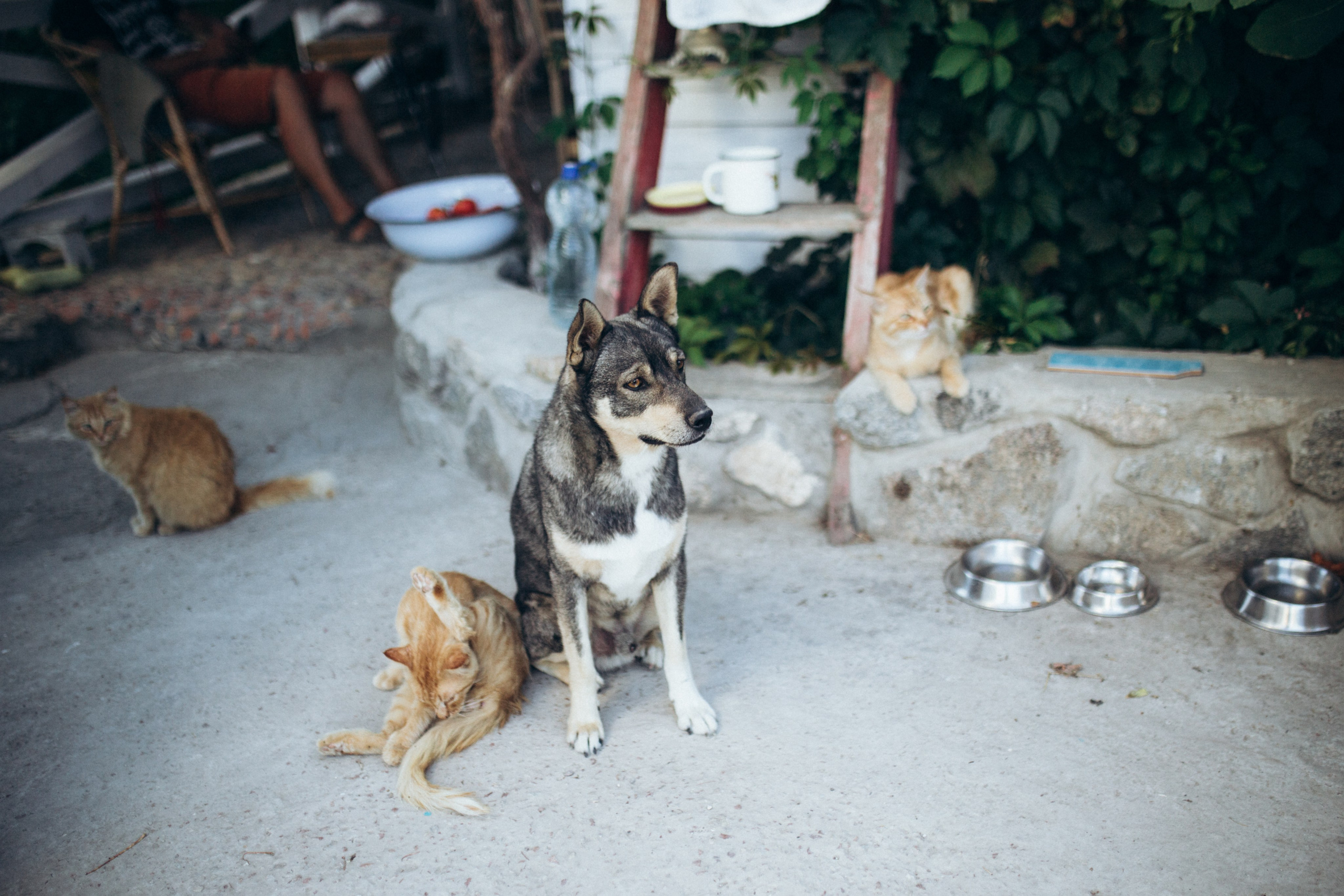 Художник Ольга Григорьева-Климова. Портретный фотограф В Крыму и преподаватель Екатерина Покровская