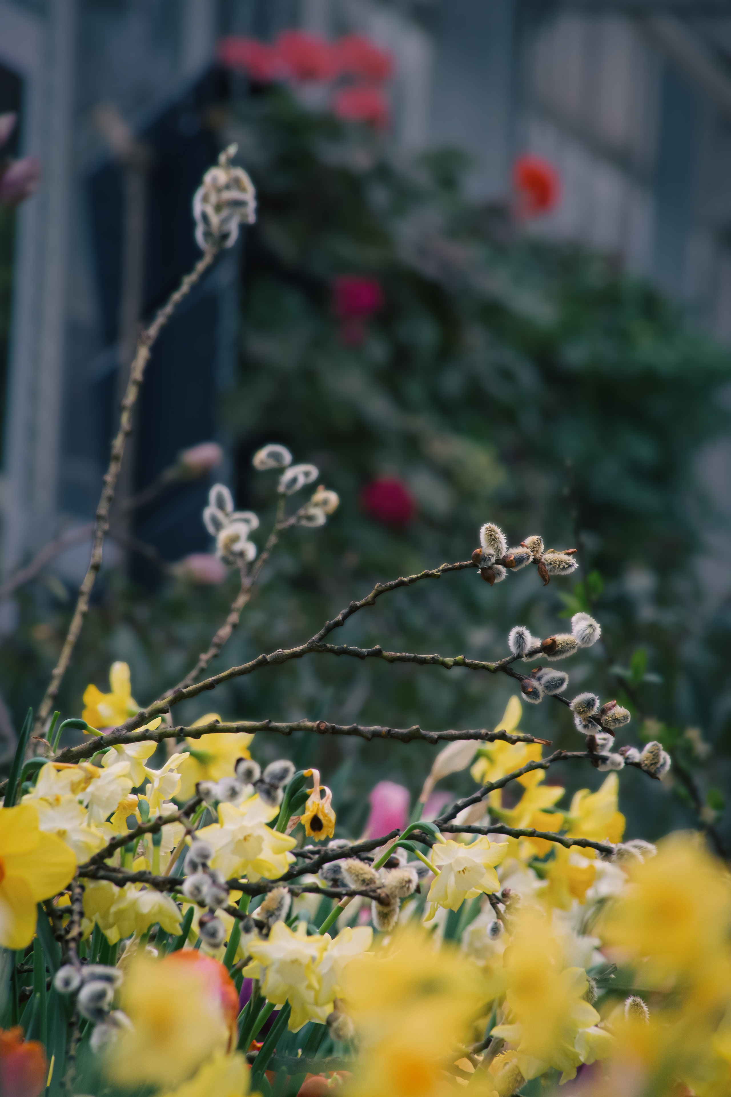 Персидский сад. Dmitriy [KCCC] is a pretty cool photographer